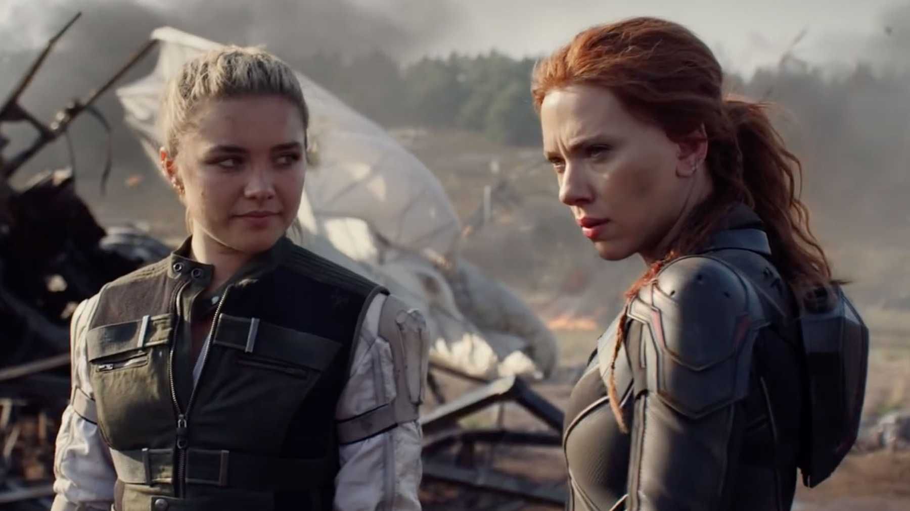 Two Black Widows.jpg