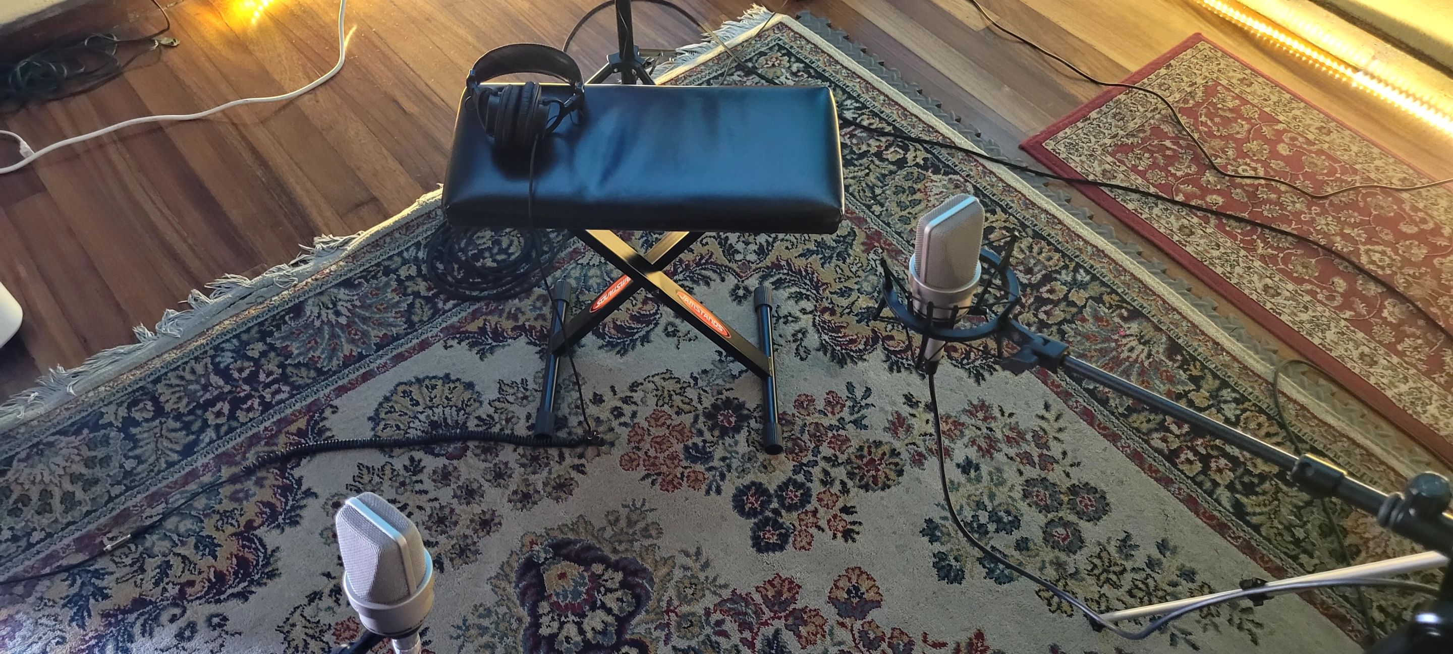 3 to 1 mic placement.jpg