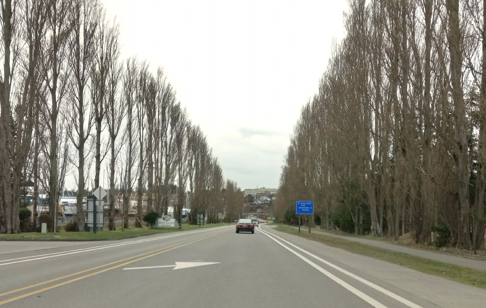 RD0088-Poplars5.jpg