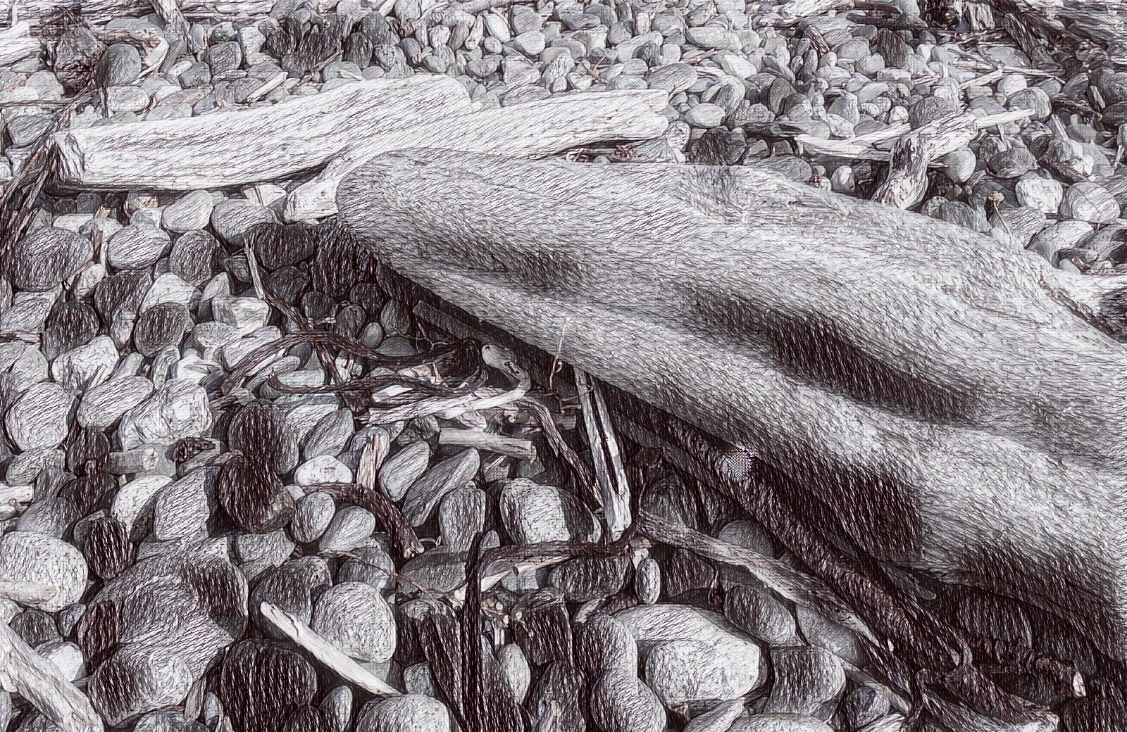 RD0079-Log.jpg