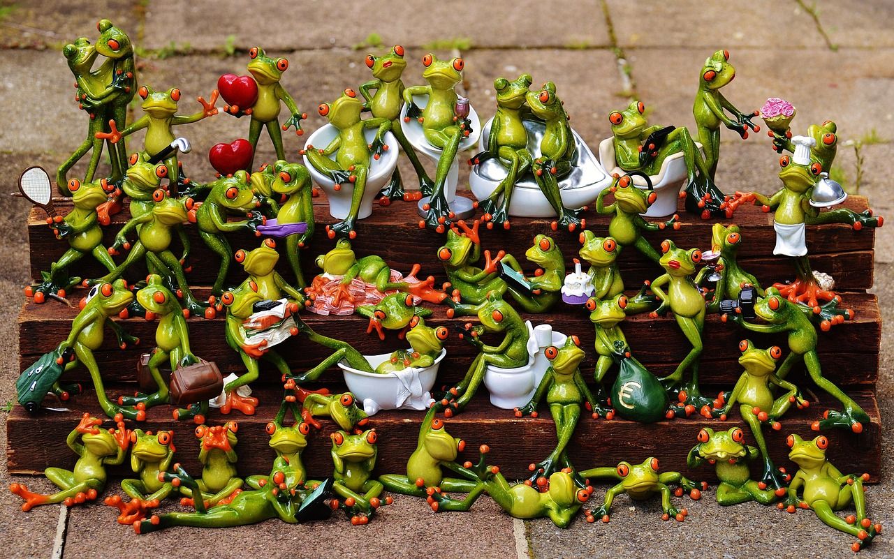 frogs-1371297_1280.jpg