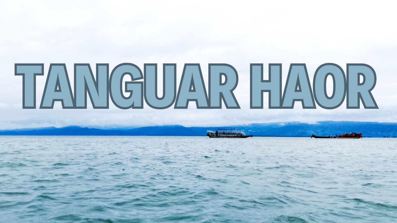 tanguar haor.png