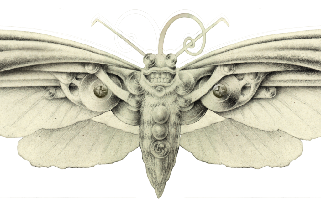 moth.png