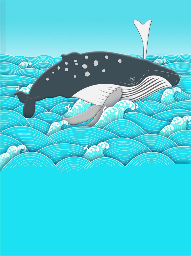 WhaleWatch-008-767x1024.jpg