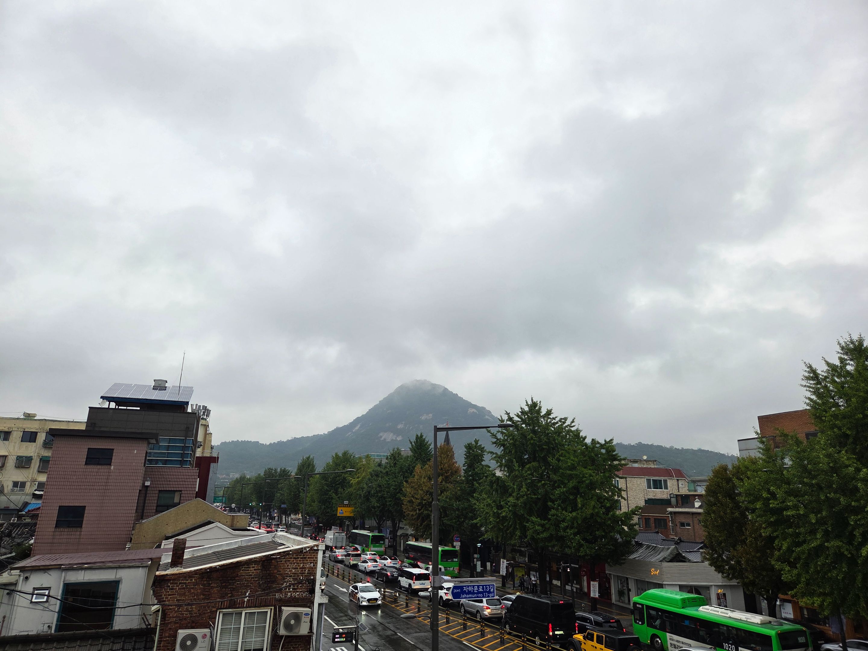 20250924_165321.jpg