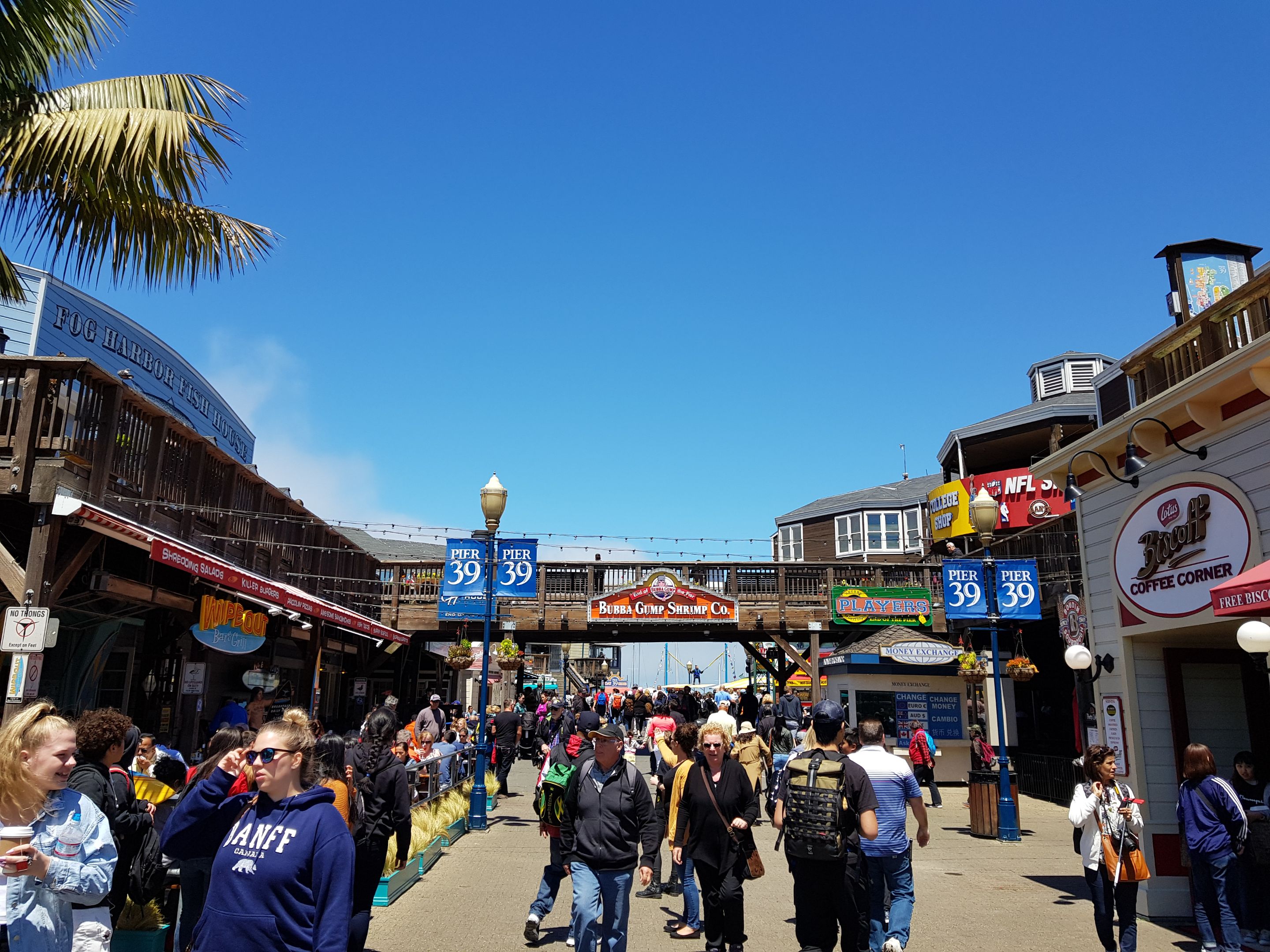 20180508_133246.jpg/