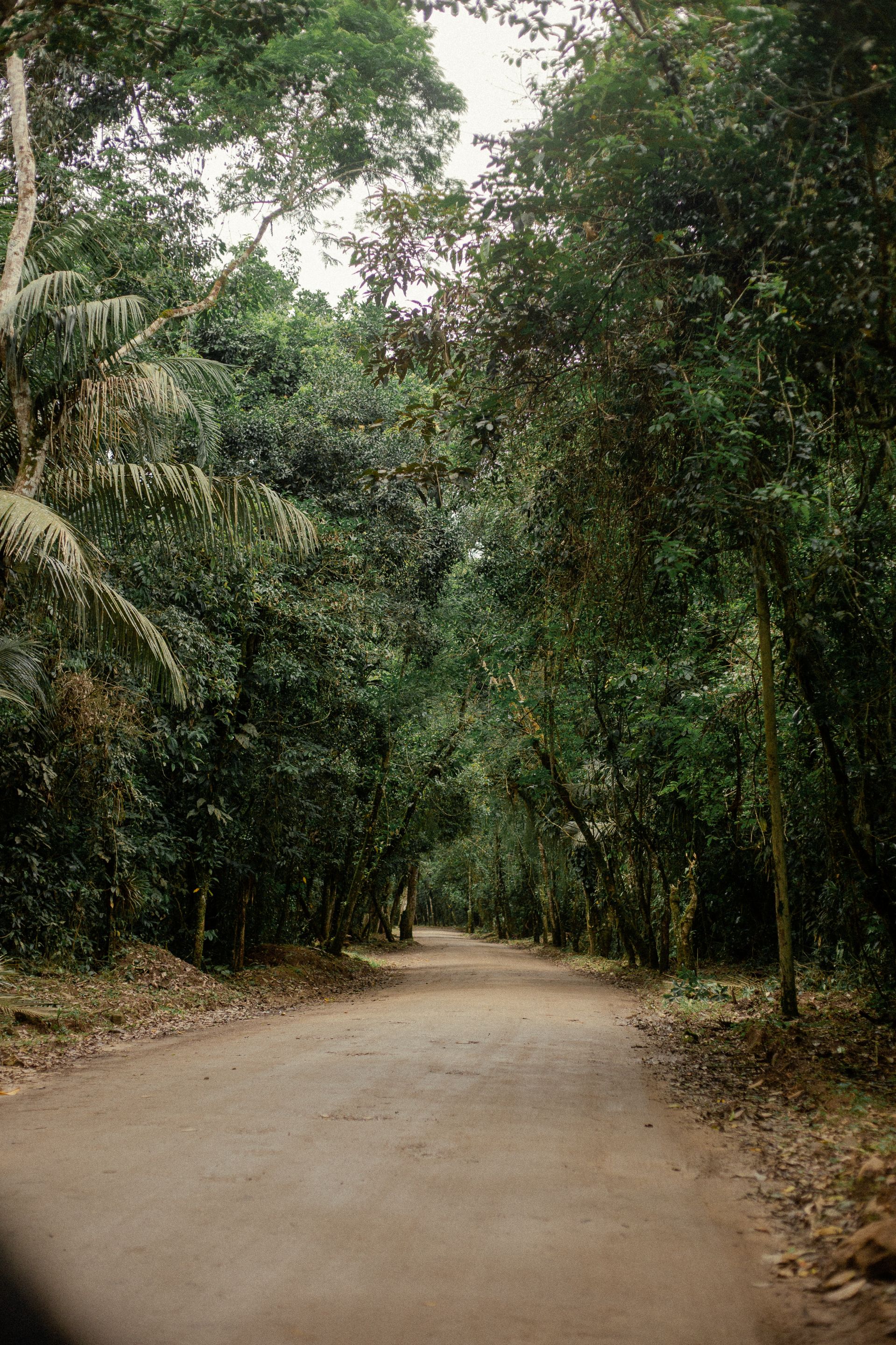 Férias Ubatuba-71.jpg