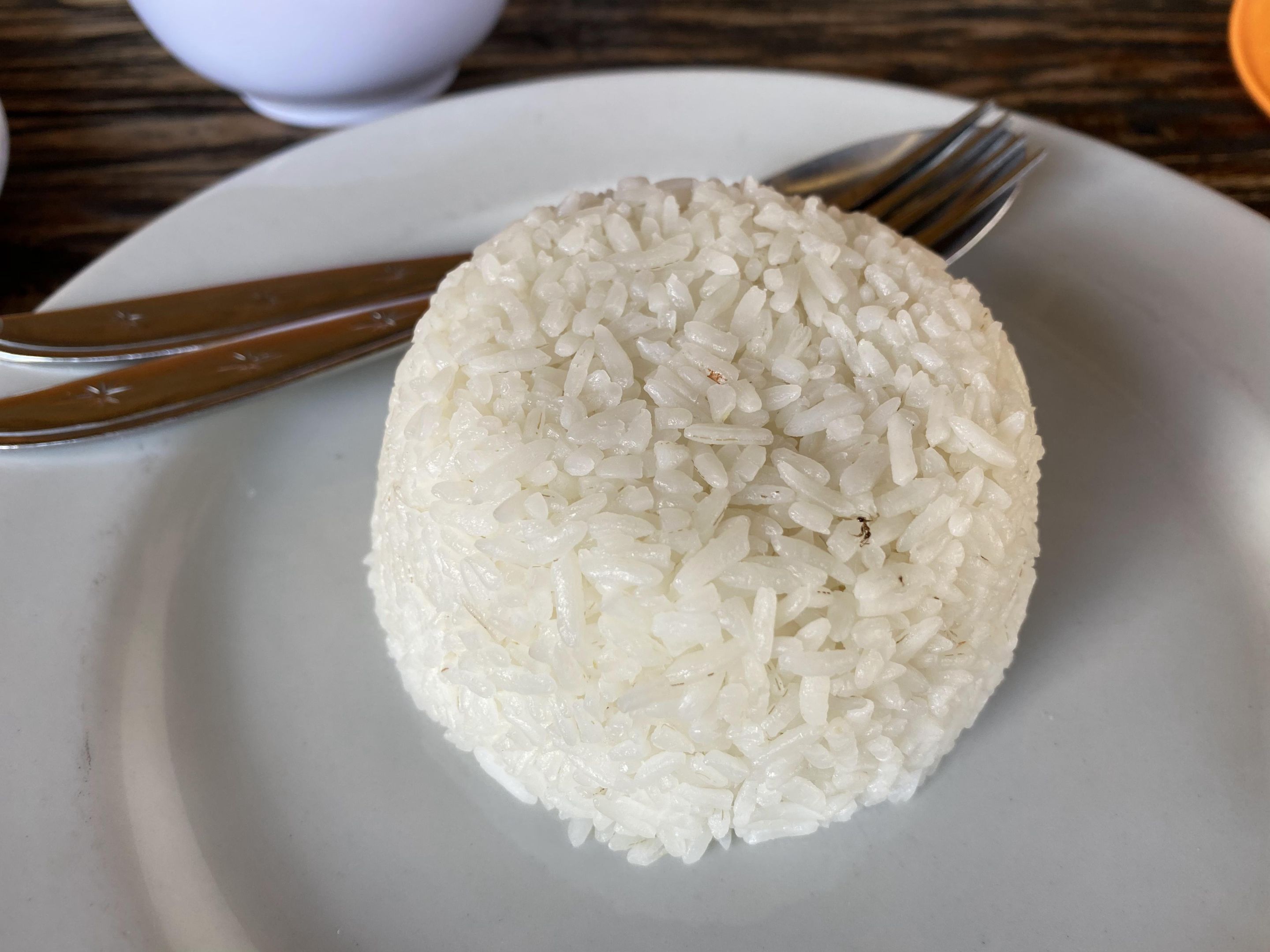 @rendrianarma-nasi-ayam-kedewatan-bu-mangku007.JPG