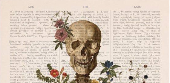 skull 1.png