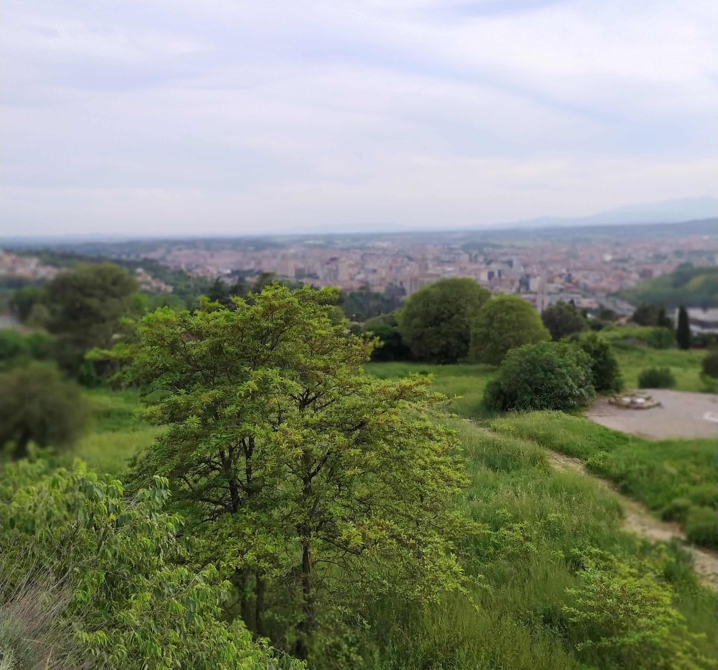 montjuic.jpg