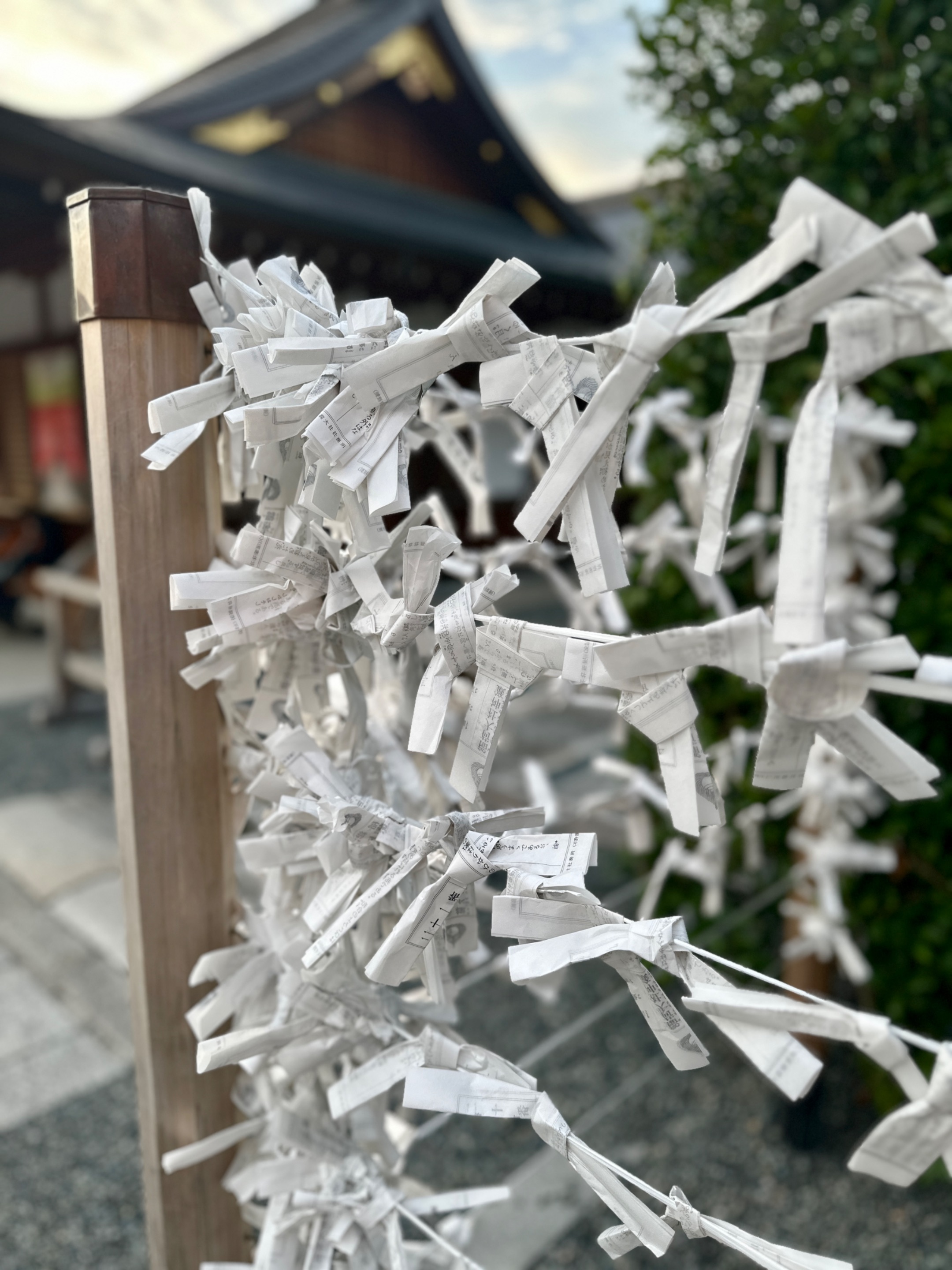 IMG_0842.jpeg