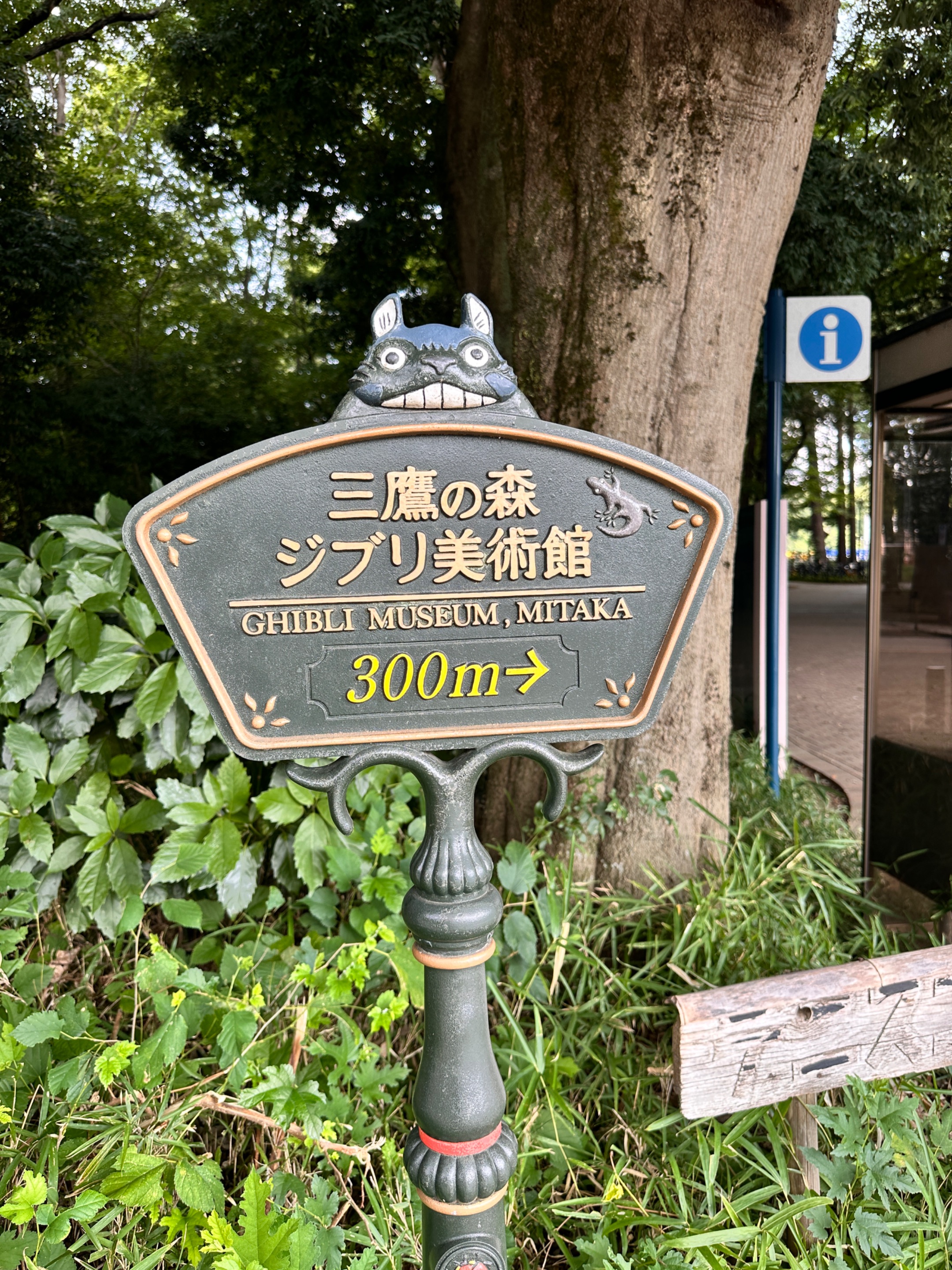 IMG_9359.jpeg