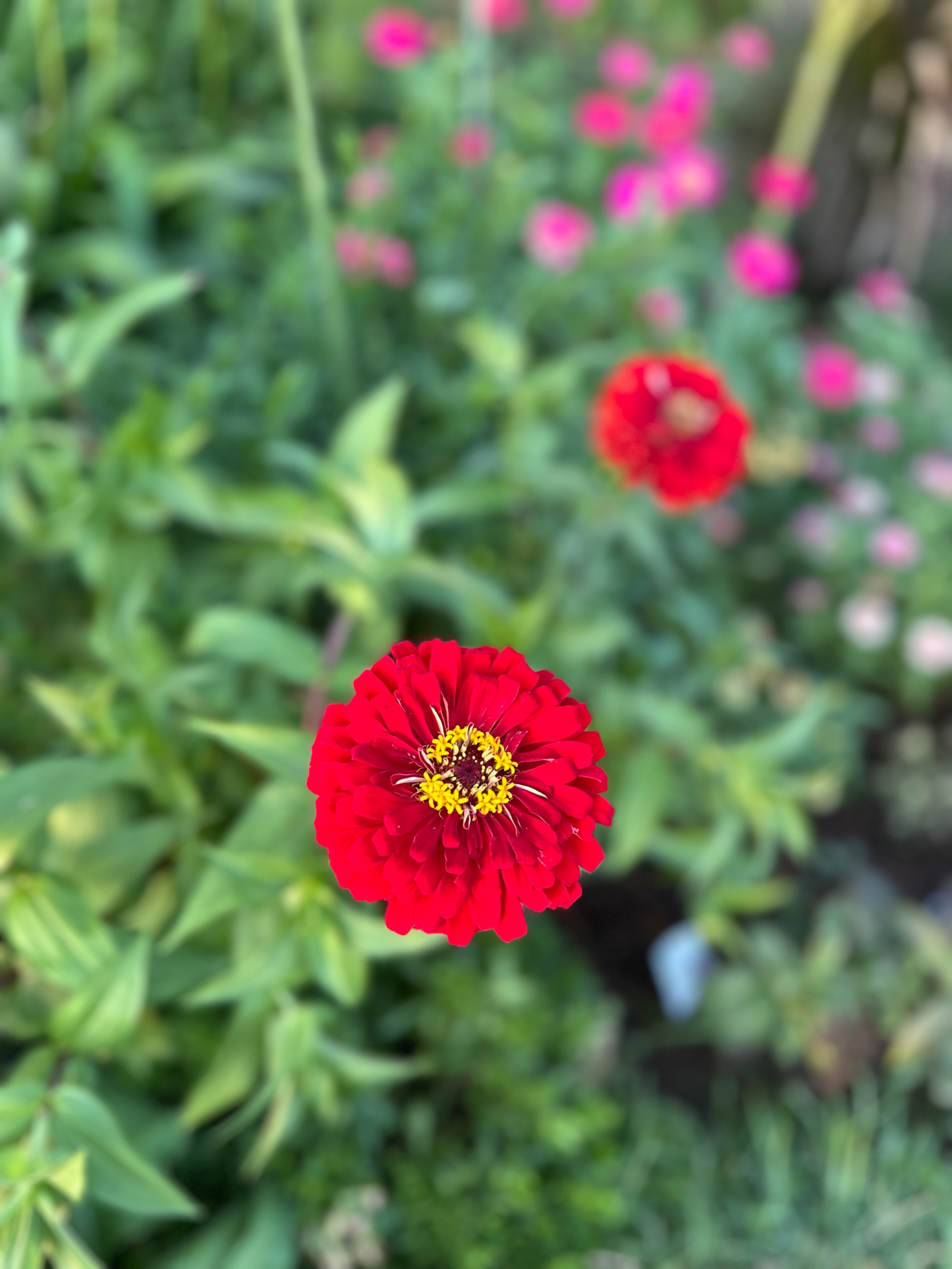 IMG_8236.jpeg