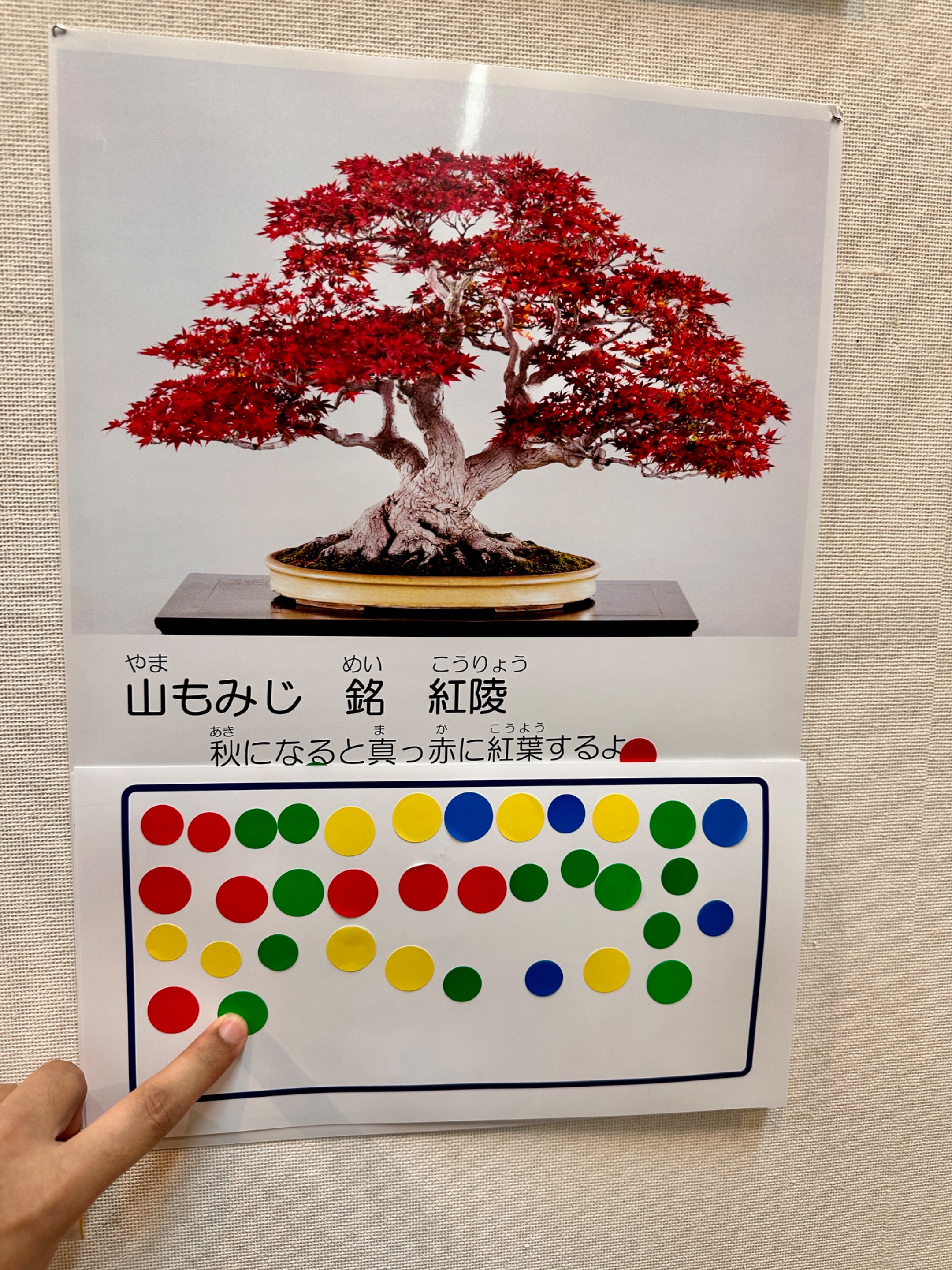 IMG_9067.jpeg