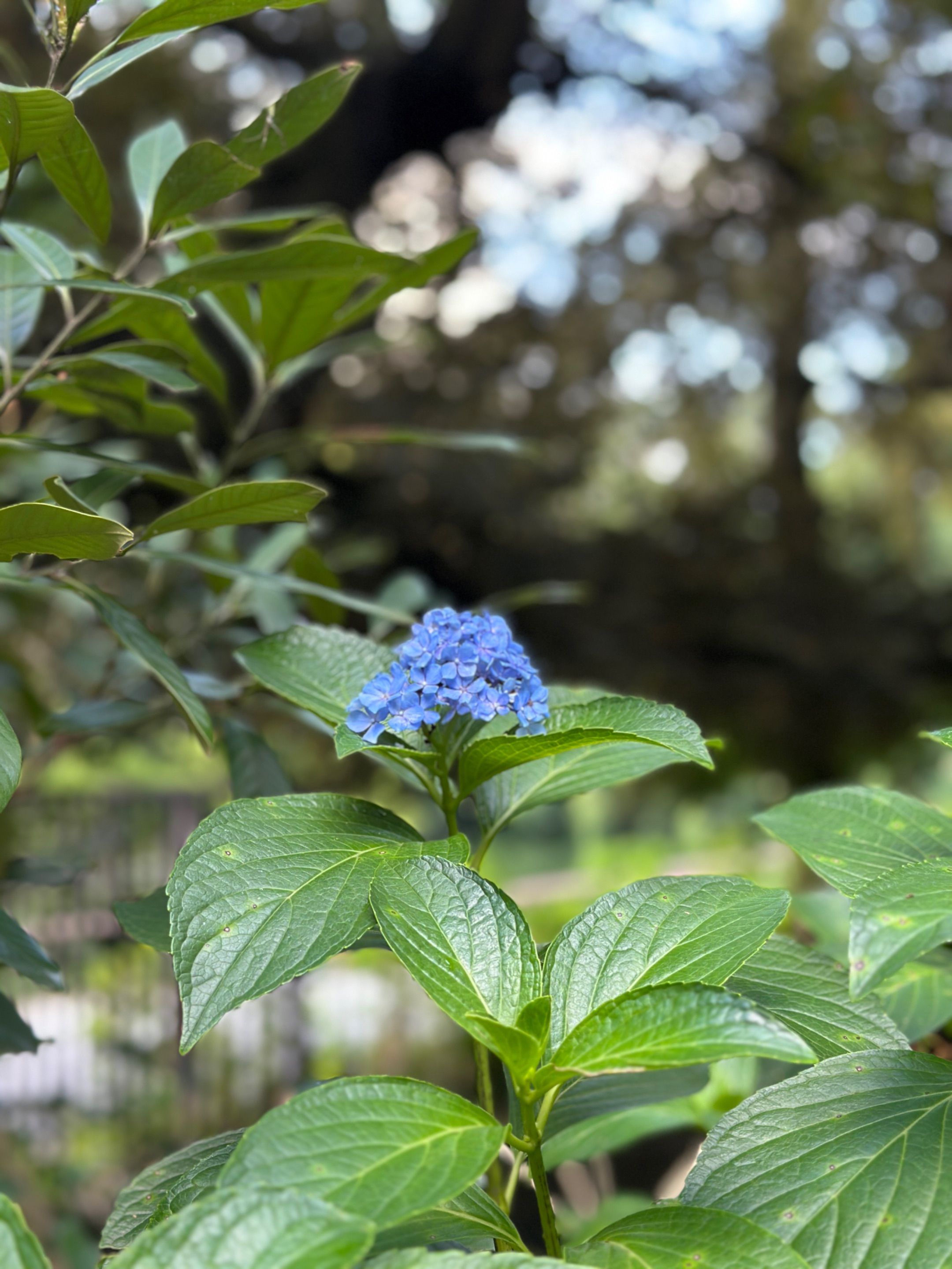 IMG_9213.jpeg