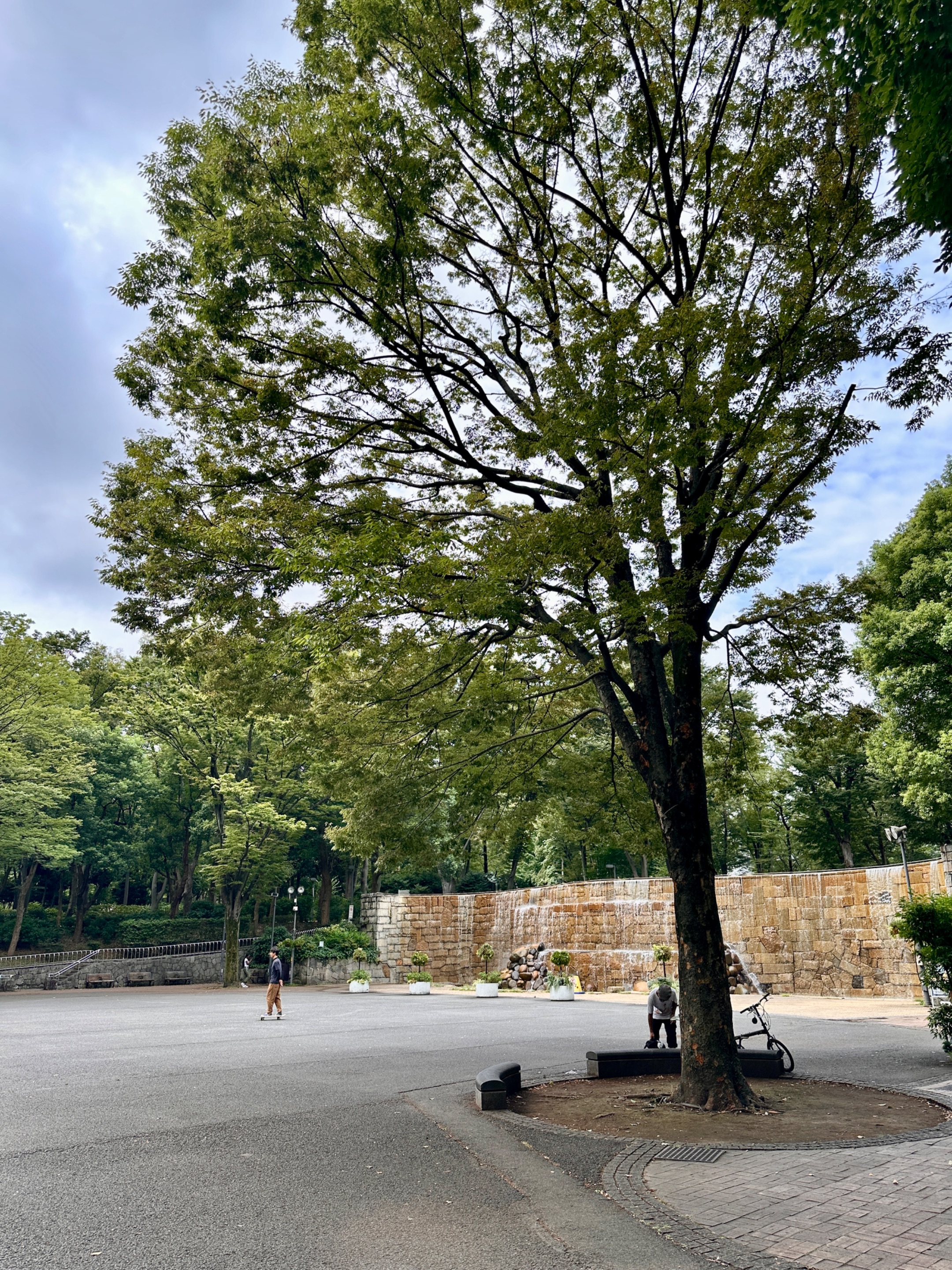IMG_9046.jpeg
