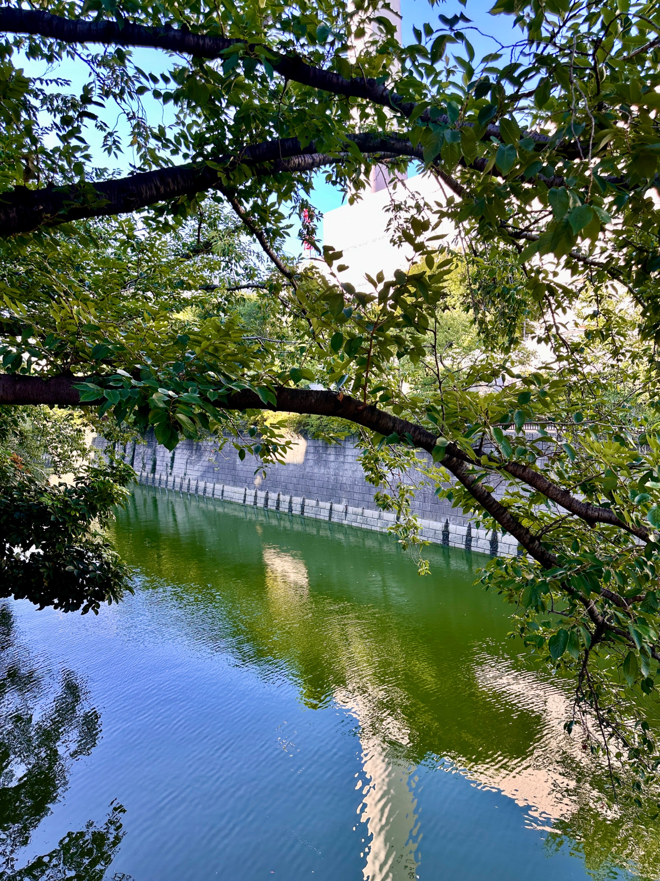 IMG_8034.jpeg