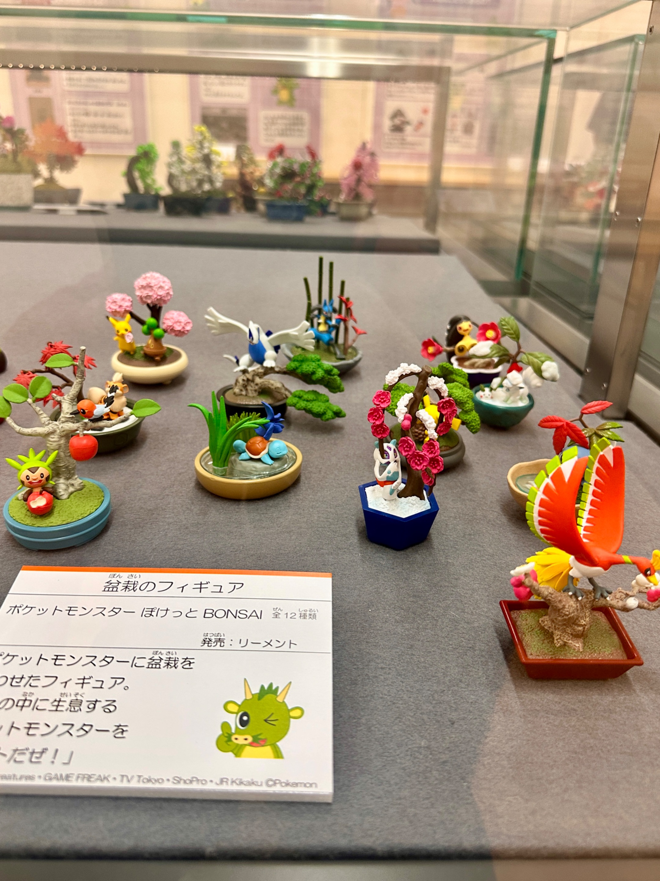 IMG_9066.jpeg