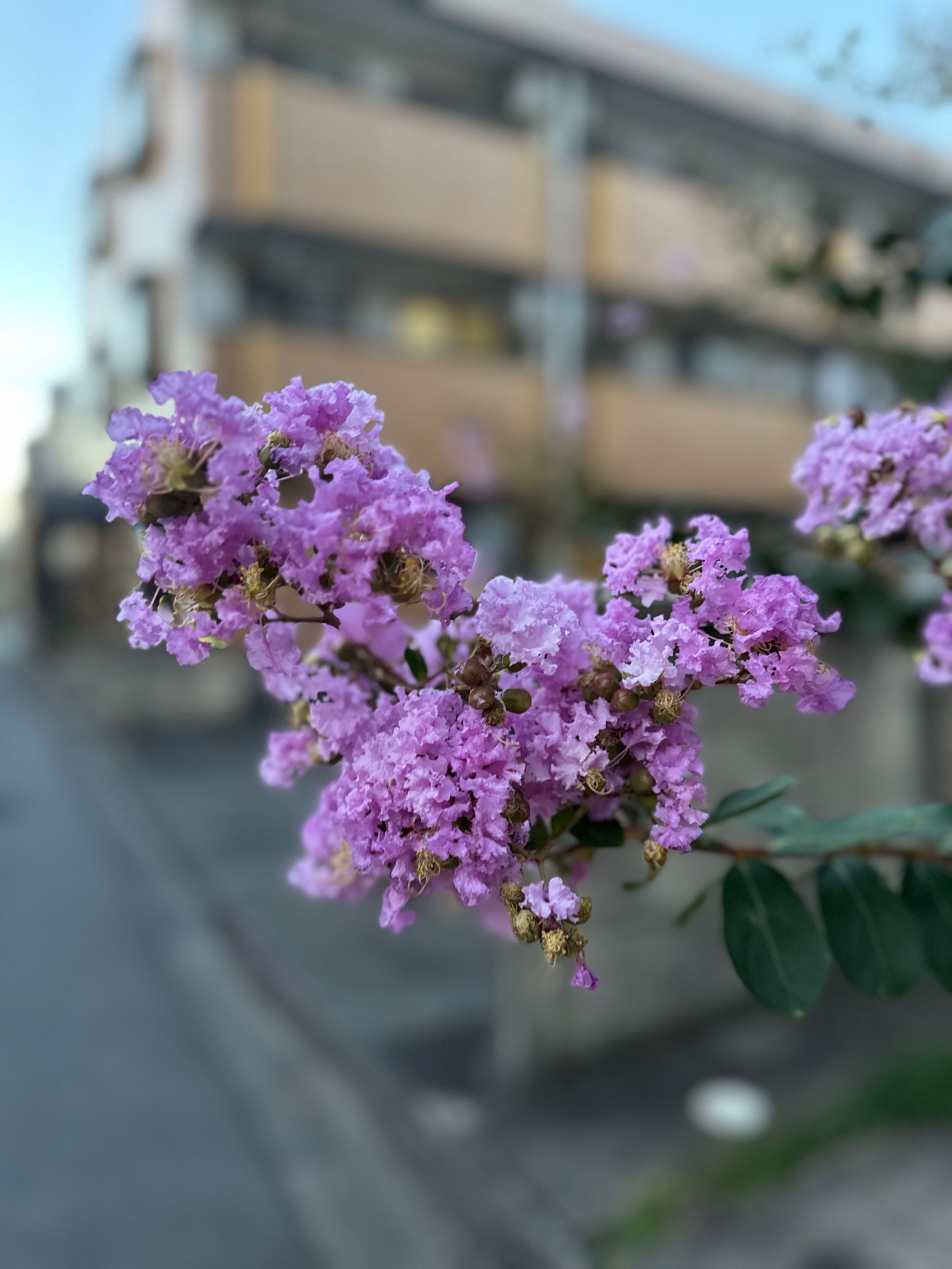 IMG_8302.jpeg