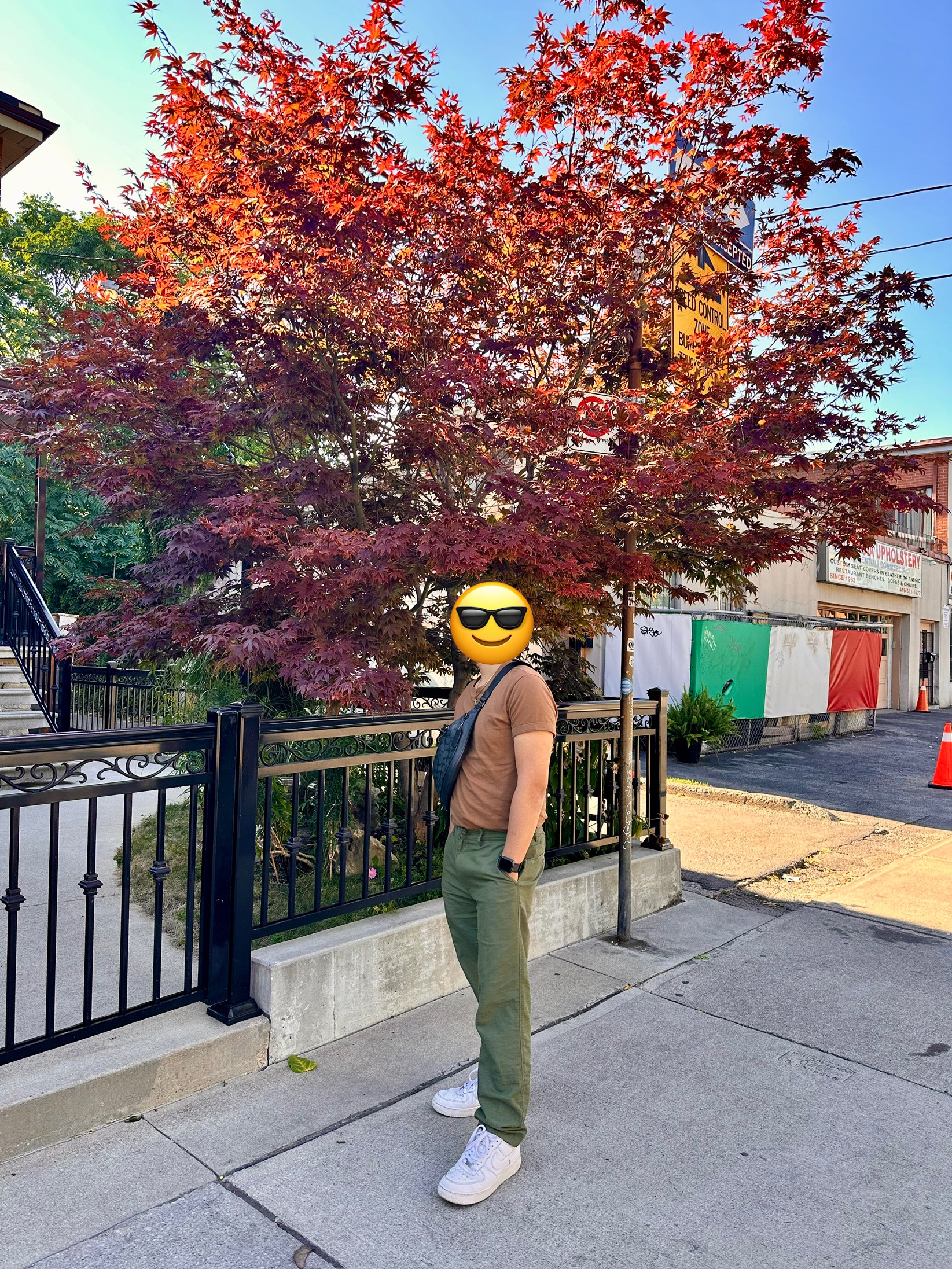 IMG_4781.jpeg