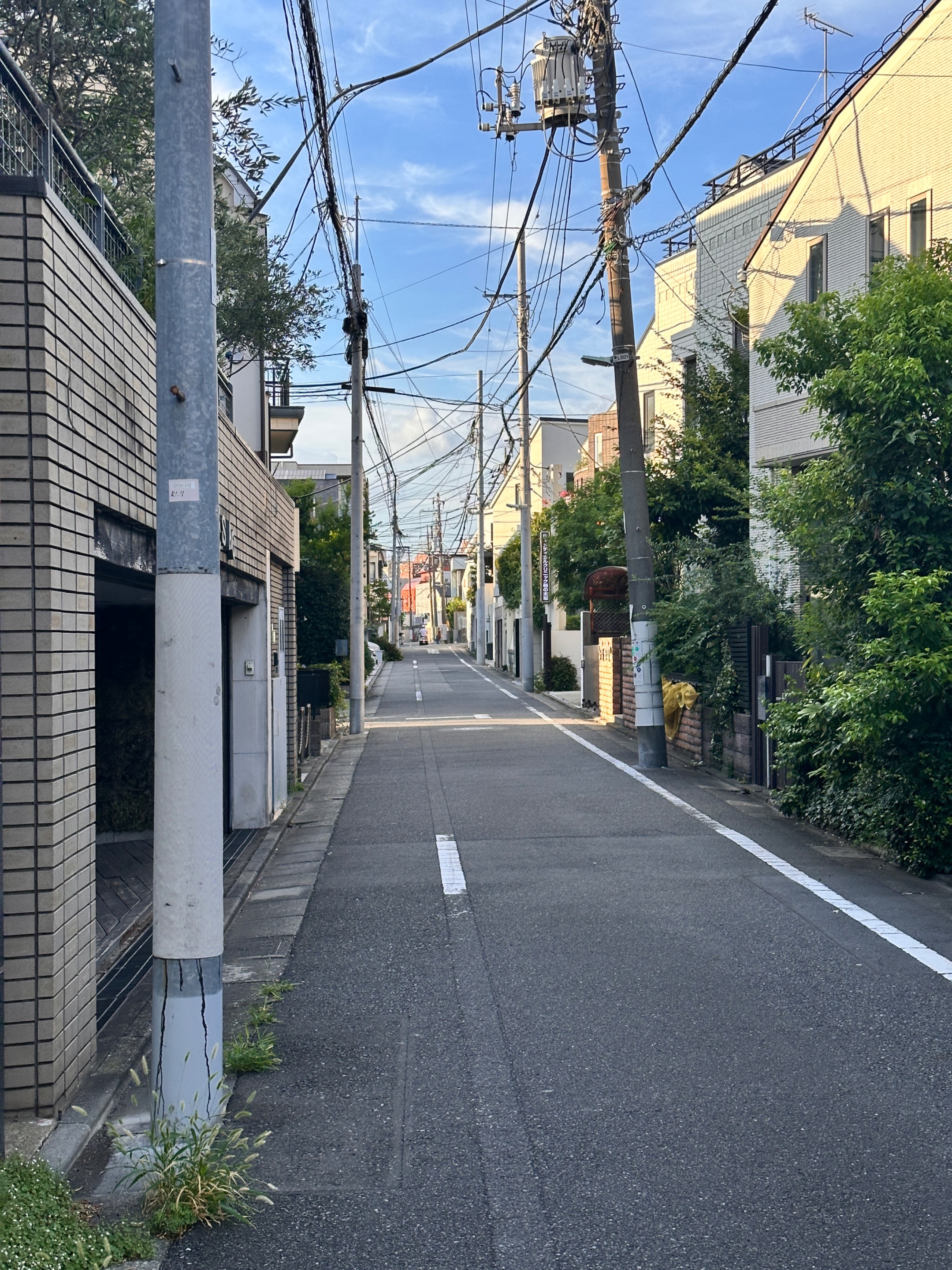 IMG_7857.jpeg