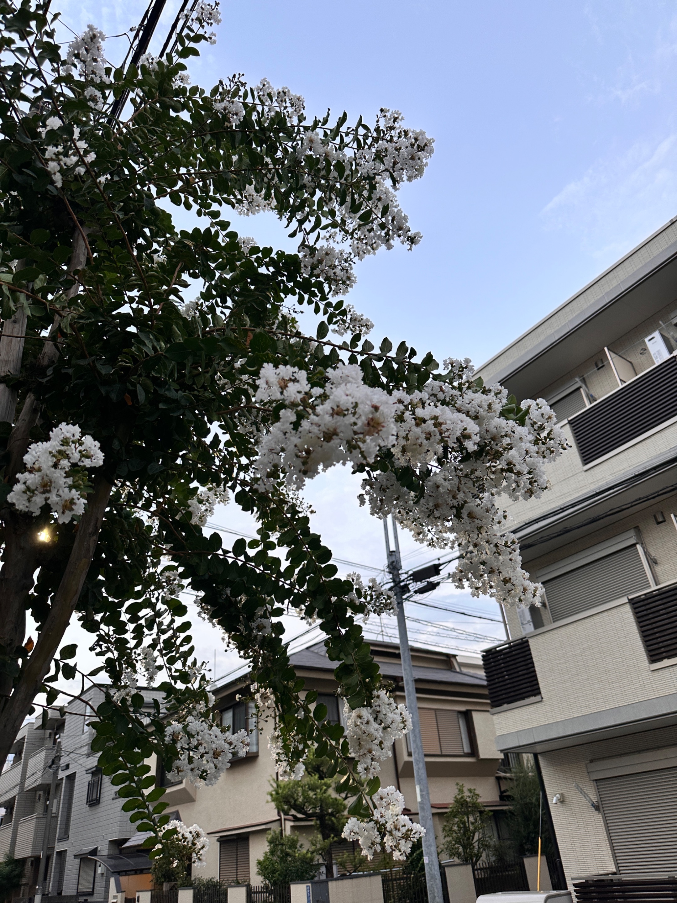 IMG_9028.jpeg