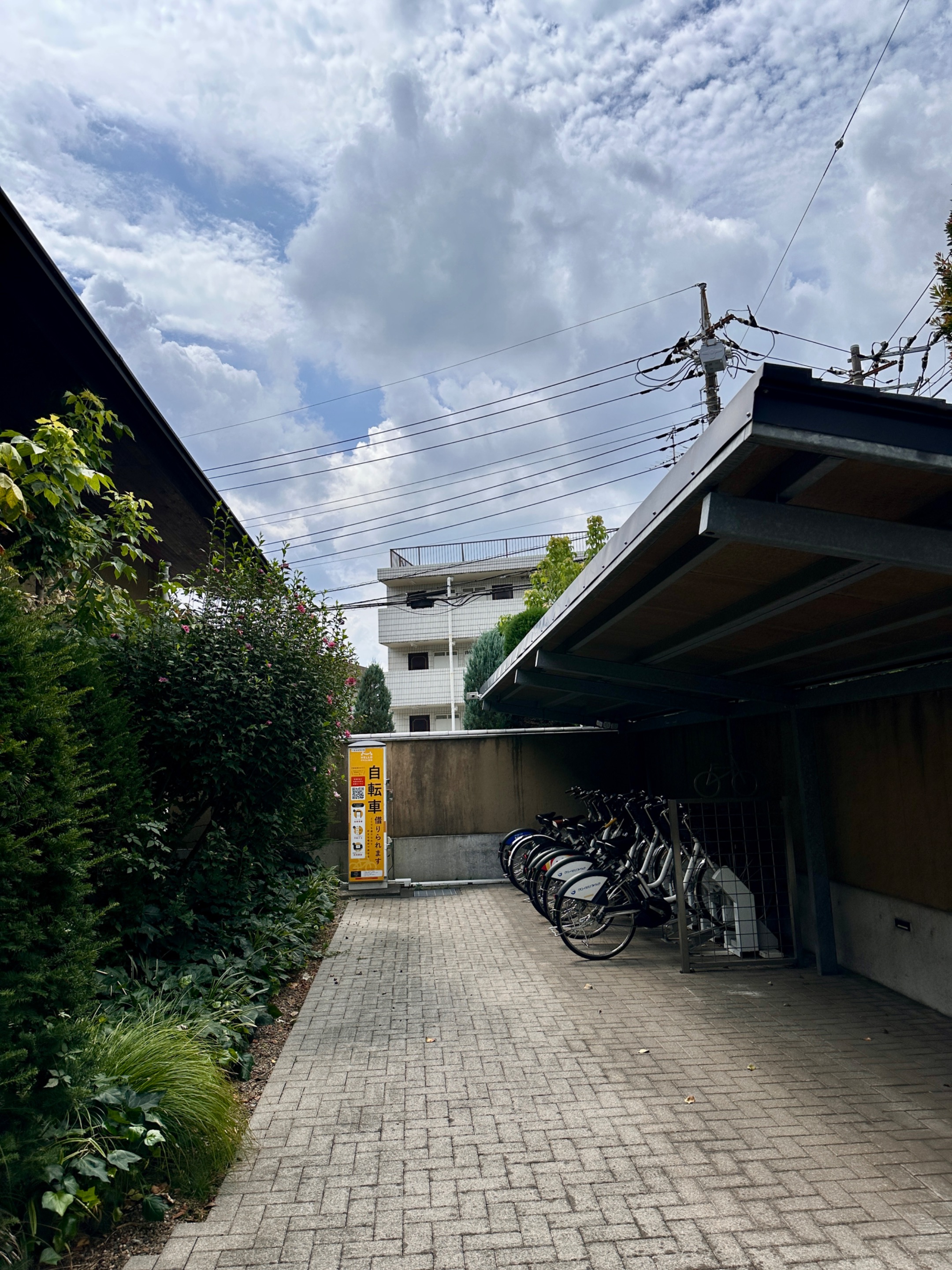 IMG_9058.jpeg