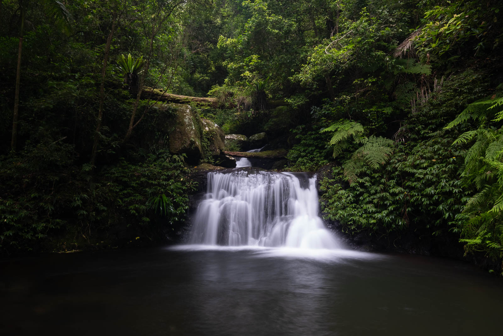 DSCF6831.jpg