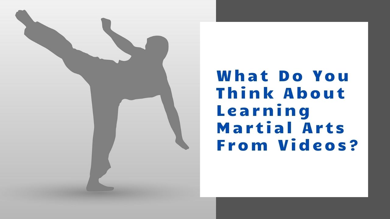 What Do You Think About Learning Martial Arts From Videos .jpg