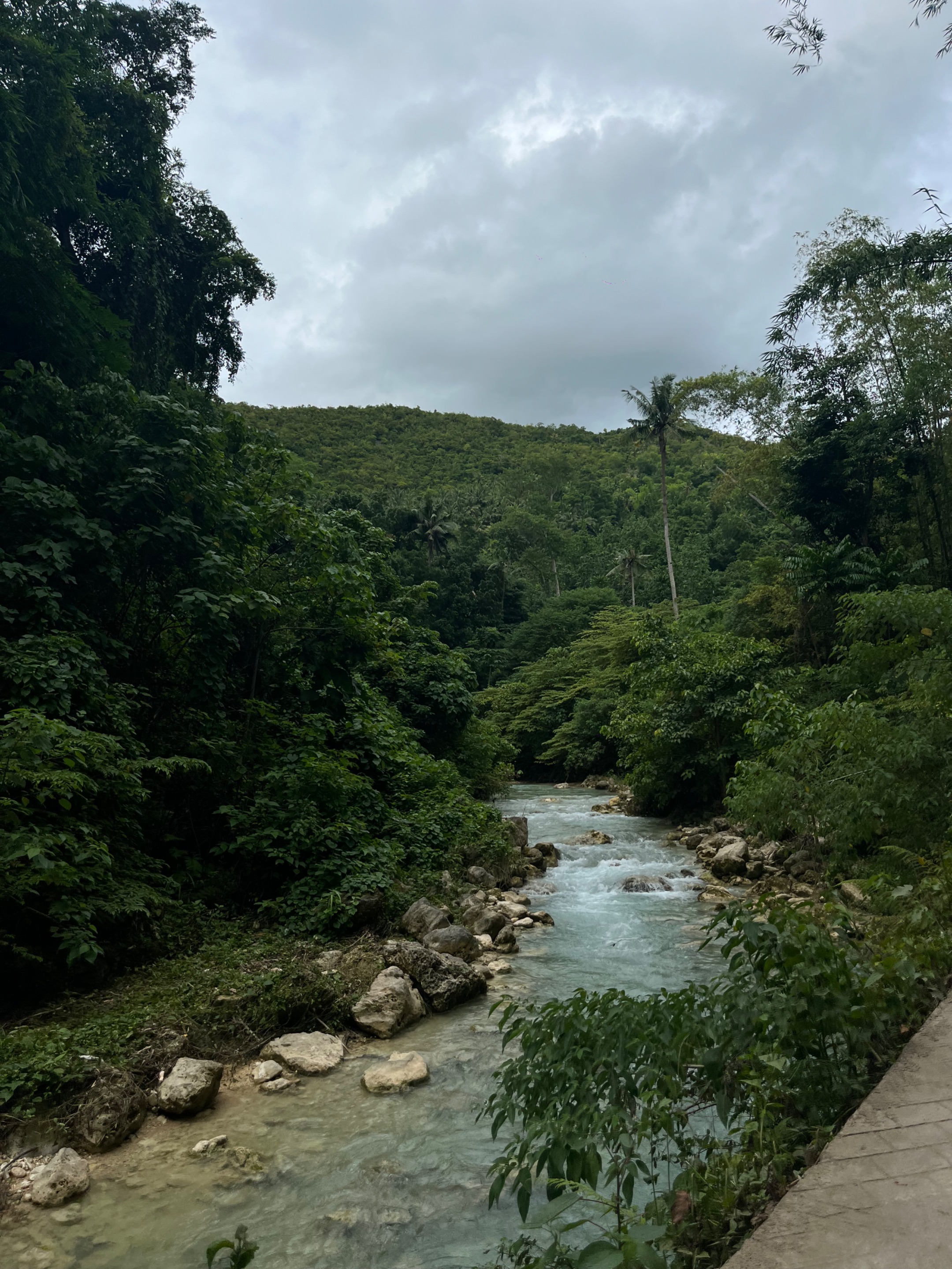 IMG_8952.jpeg