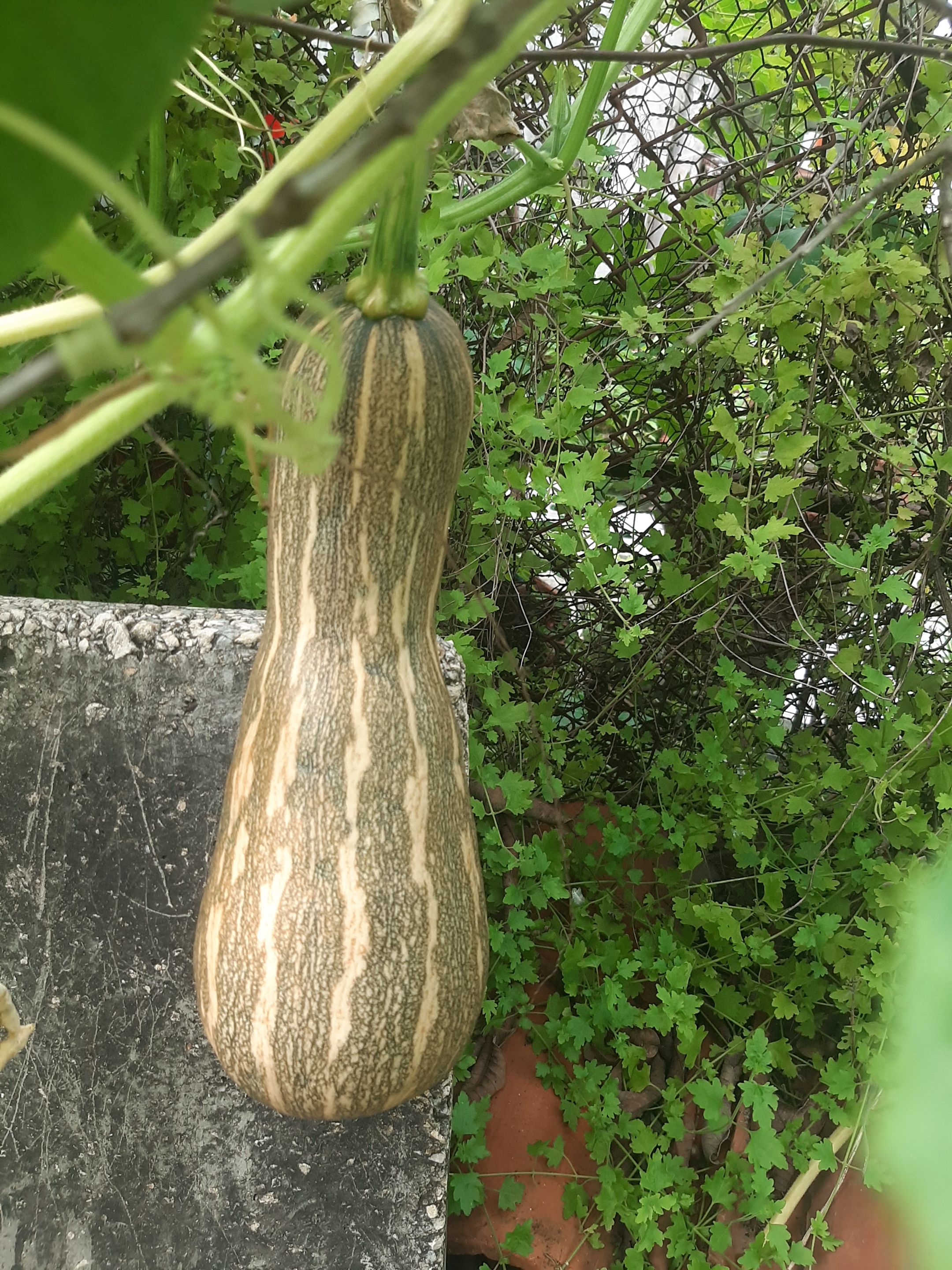 20230902_171251.jpg