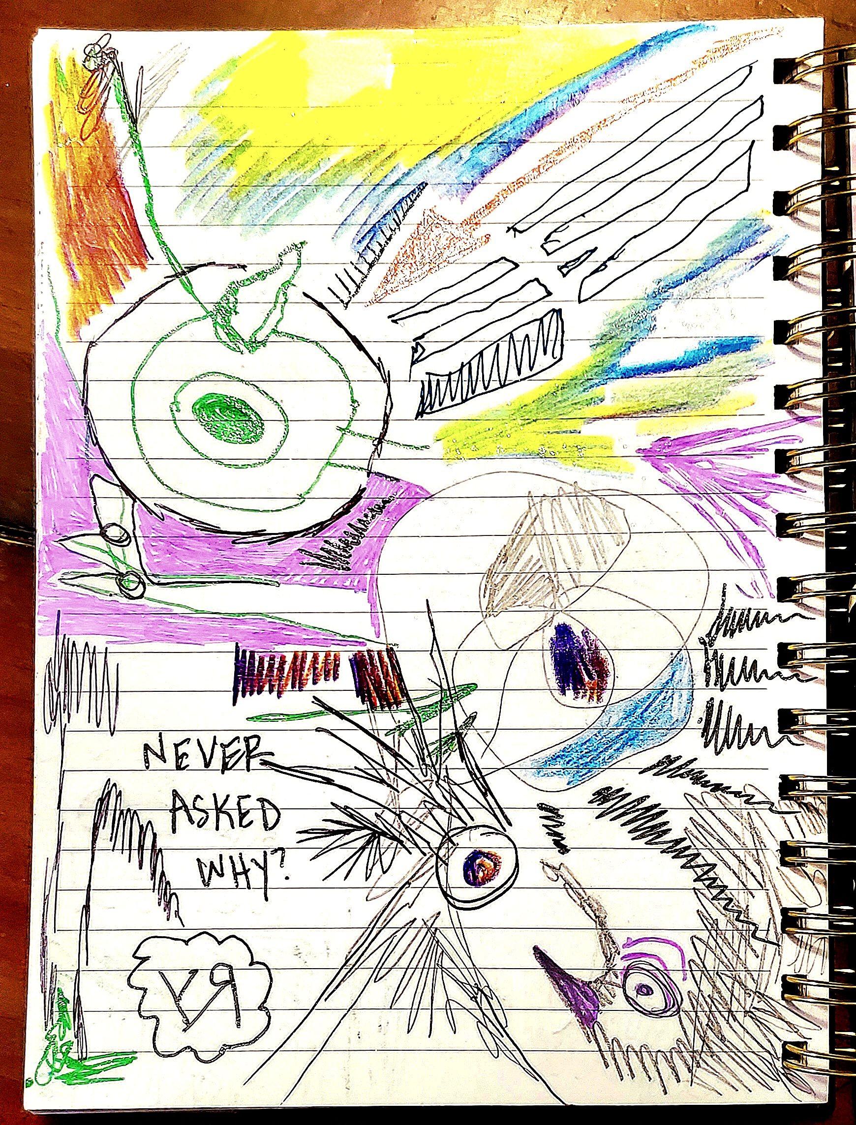 never asked why (jan. 2025).jpg