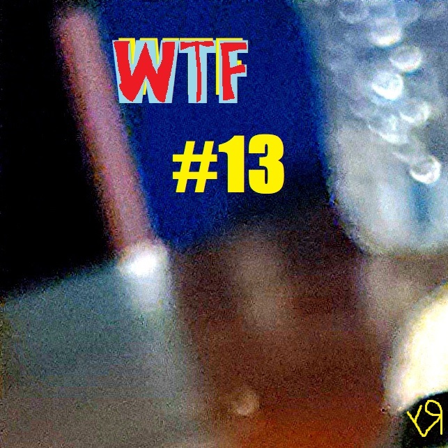 wtf 13 (cover).jpg