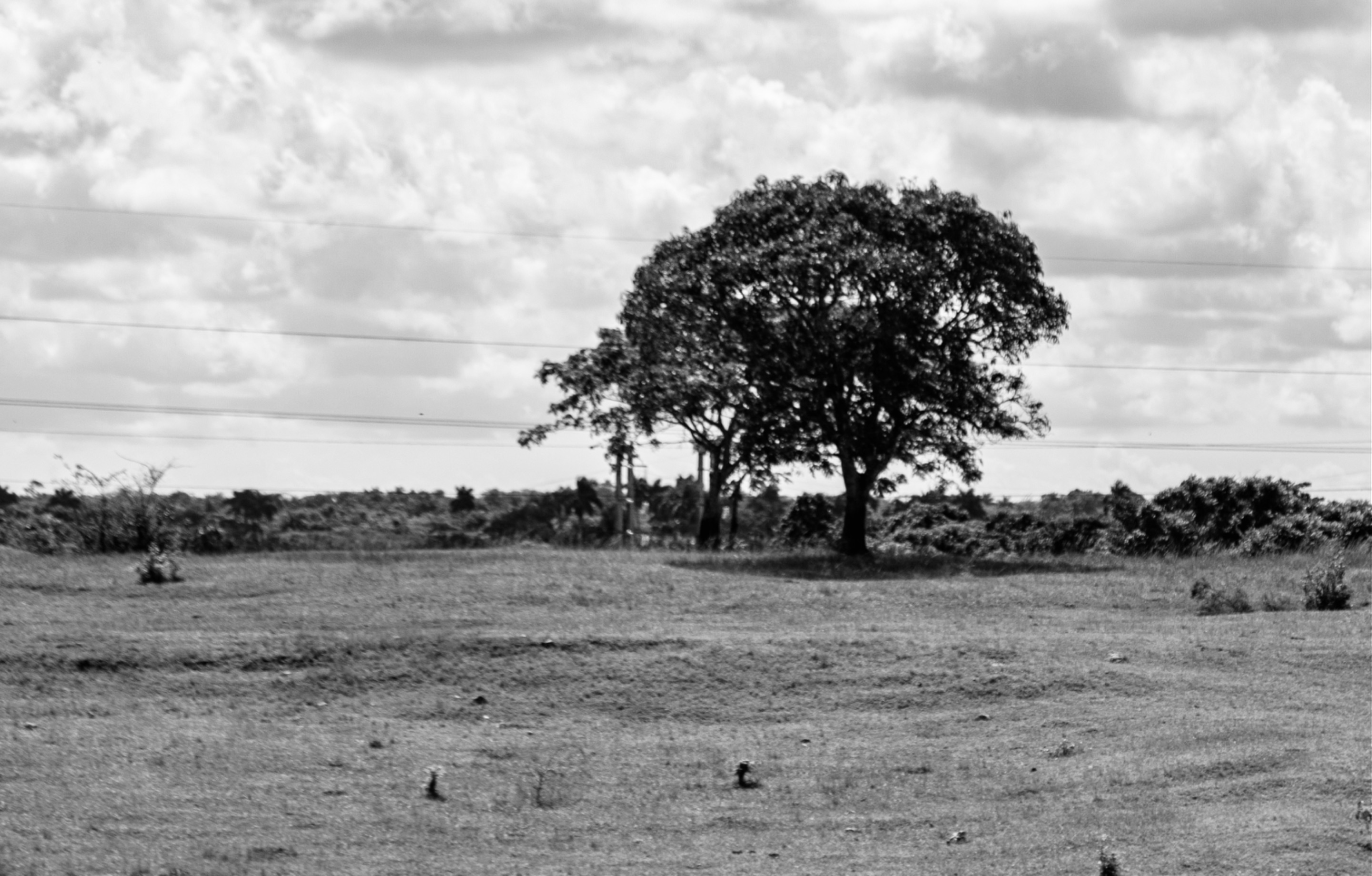 IMG_5194.jpeg