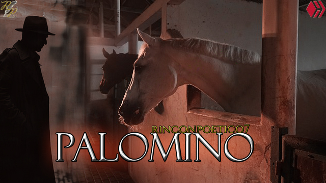 portada palomino.jpg