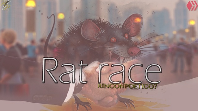 portada carrera de ratas.jpg