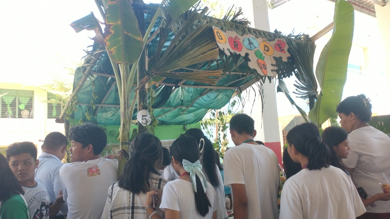 IMG_20250805_201527.png