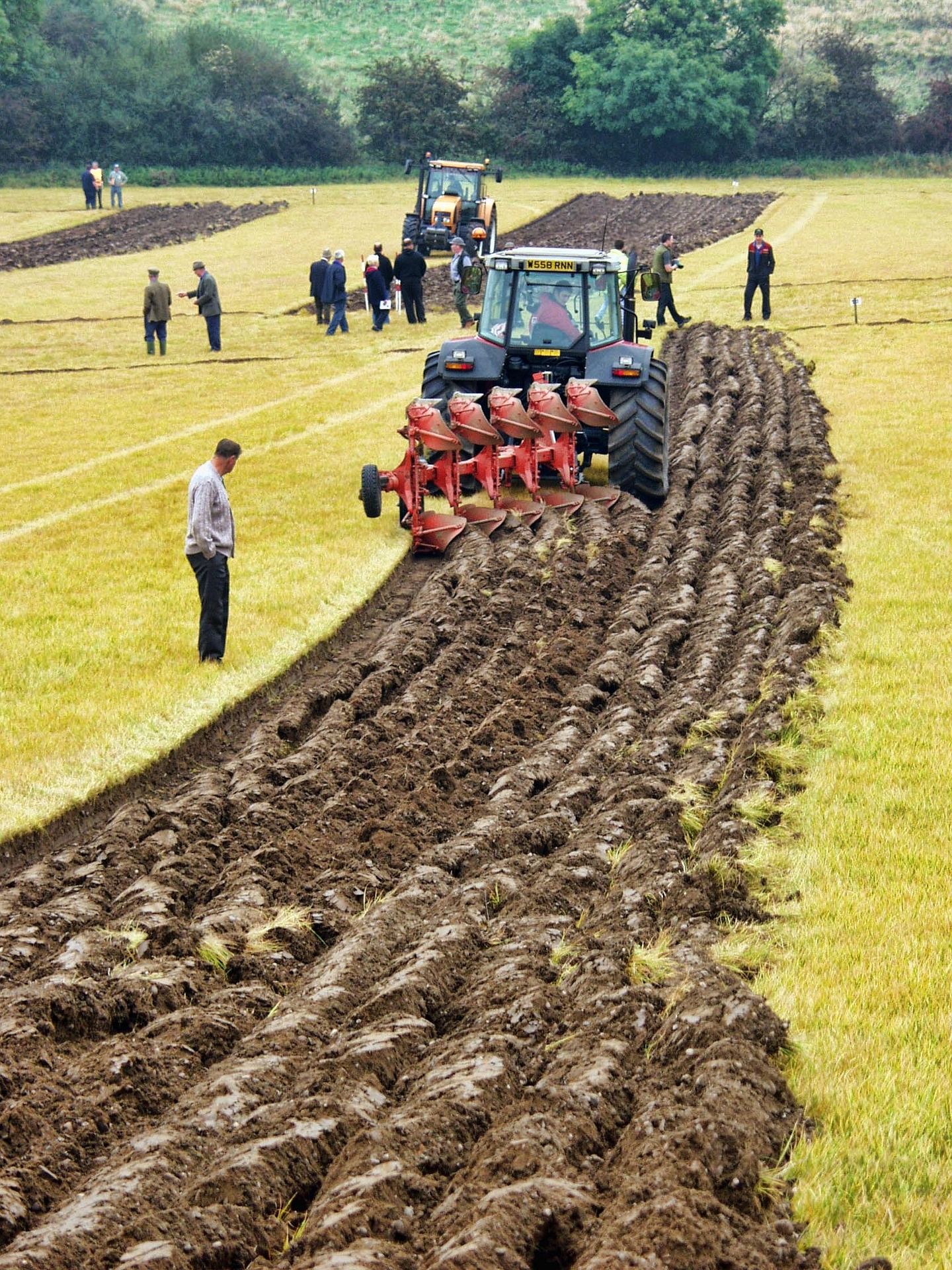 farming-2365322_1920.jpg