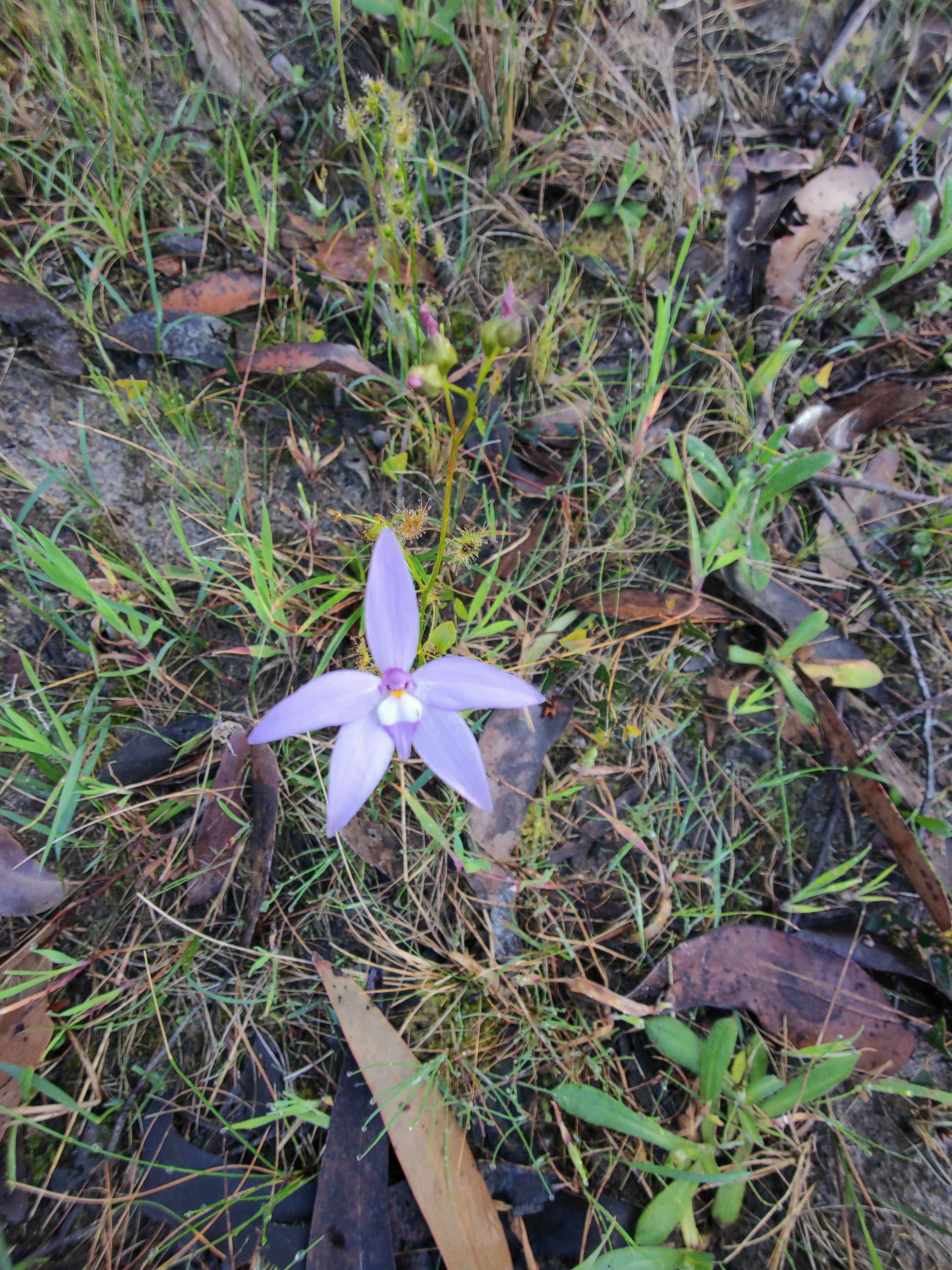 IMG20250928084929.jpg