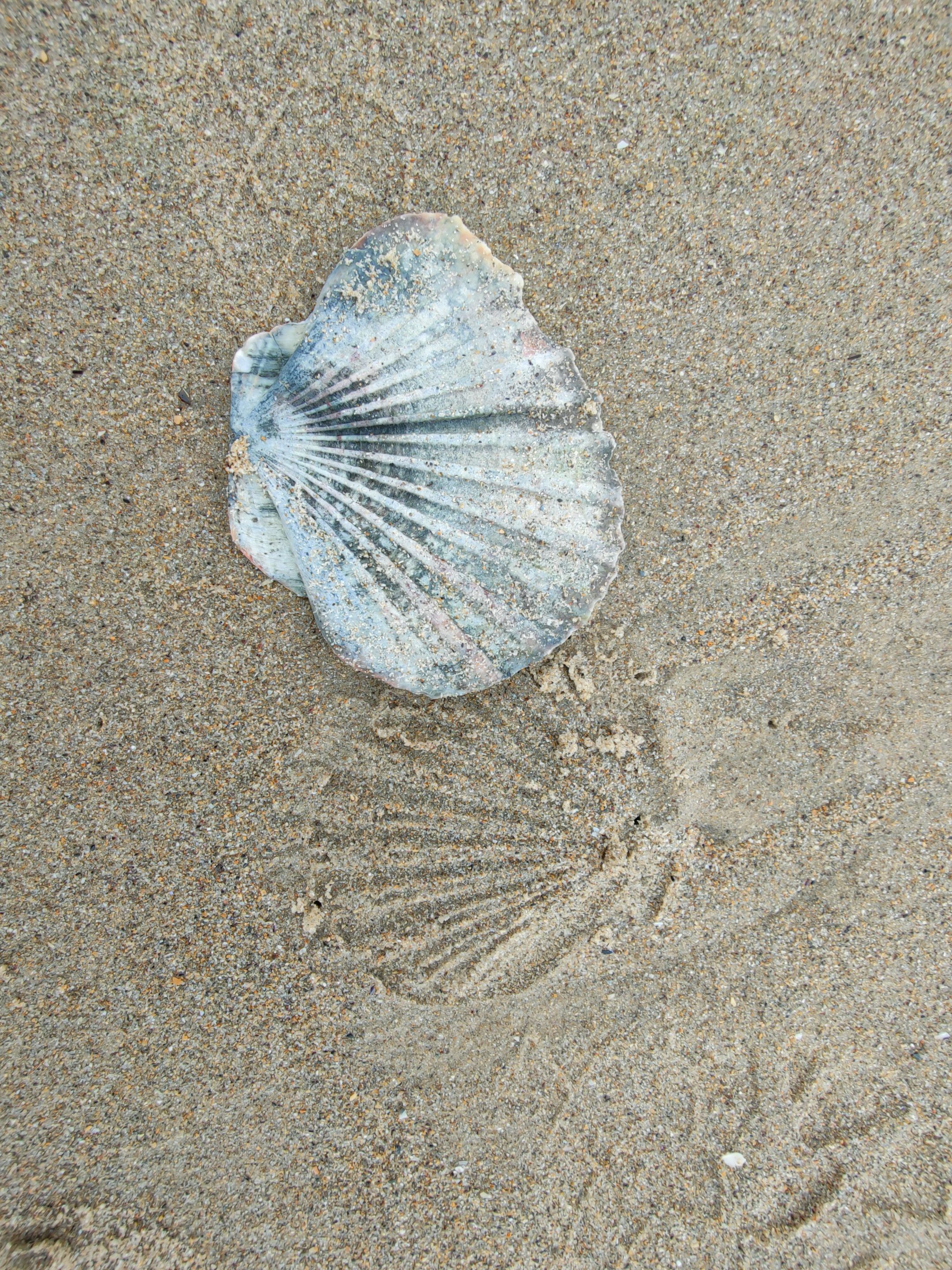 IMG20250113170509.jpg