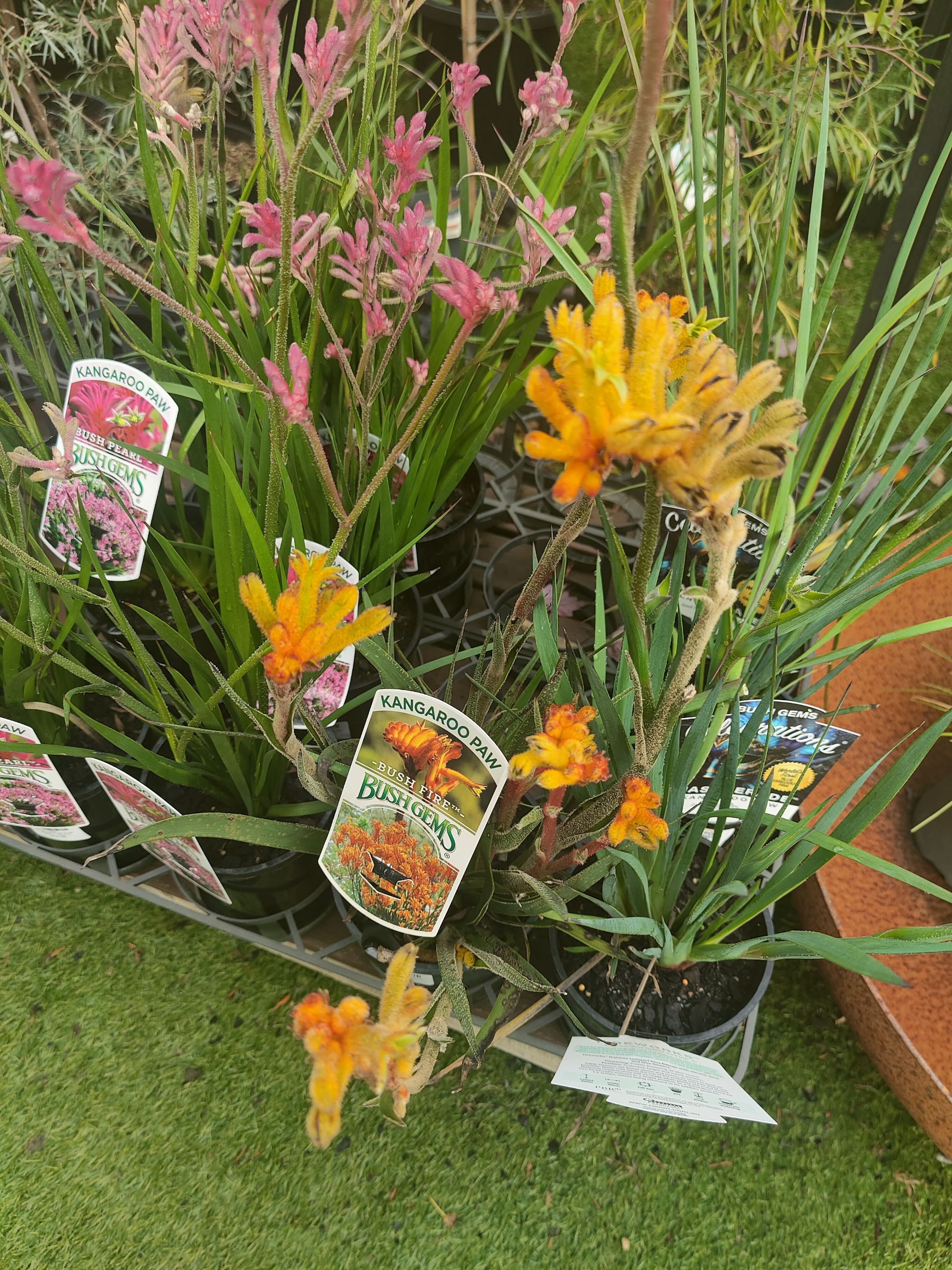 IMG20250416121636.jpg