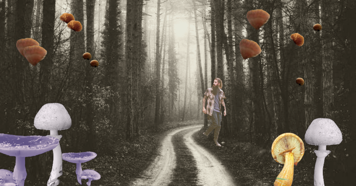 My project copy-1.png