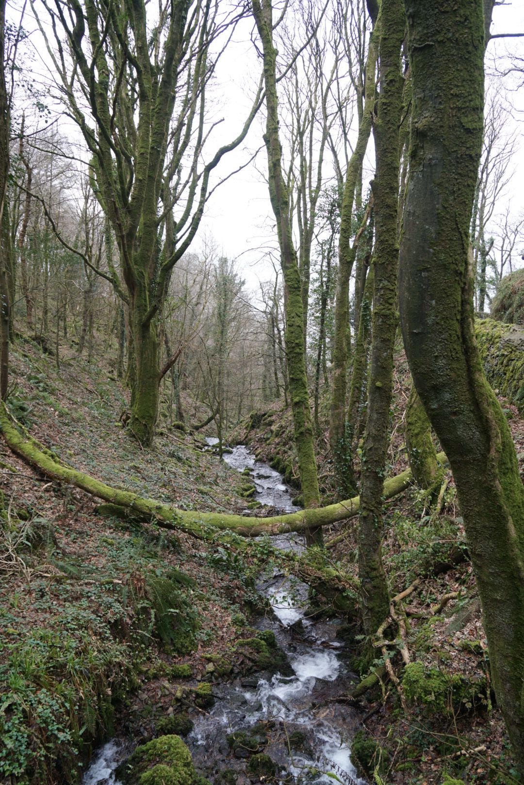 DSC00578_2.JPG