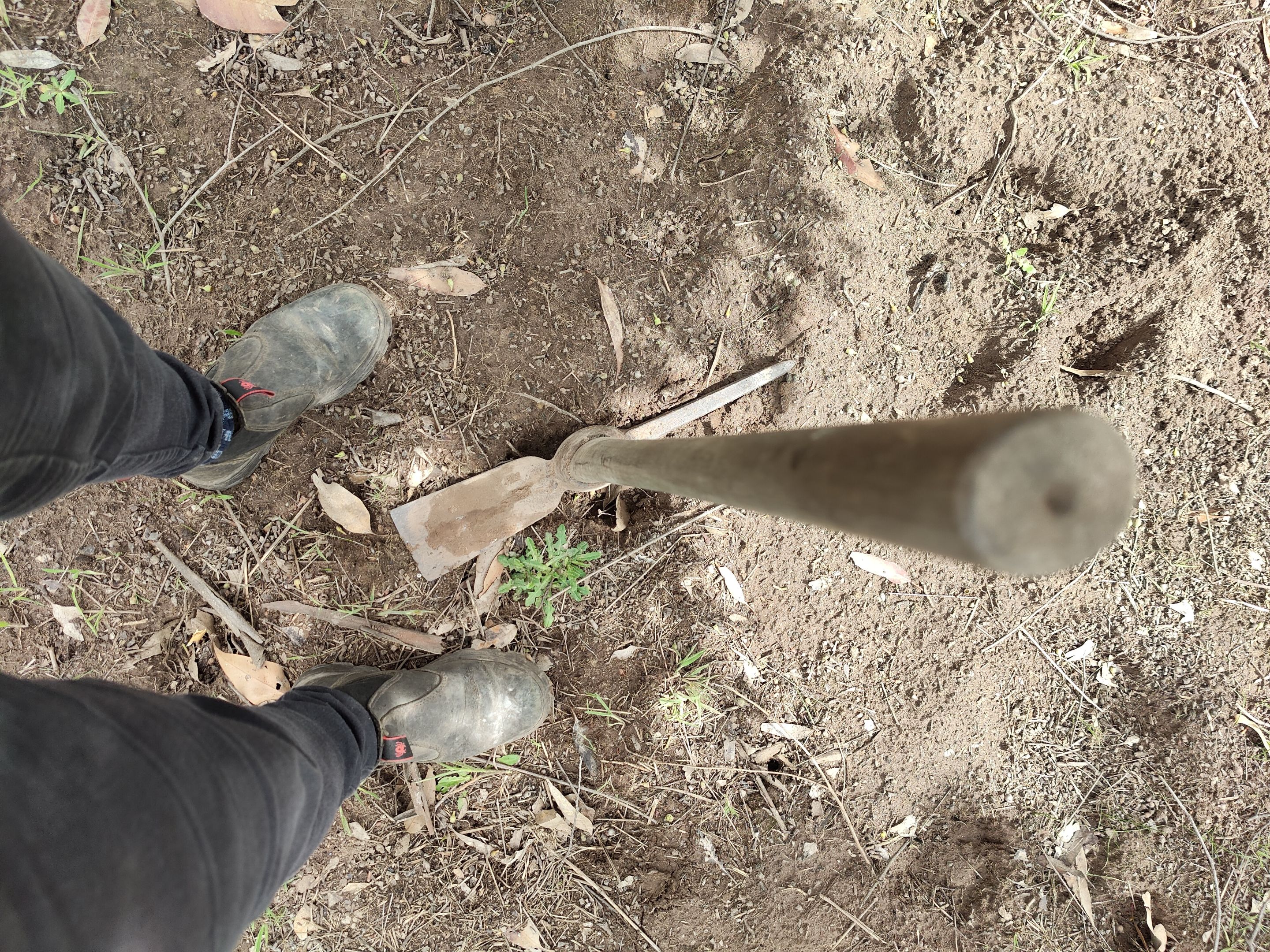 IMG20221015131412.jpg