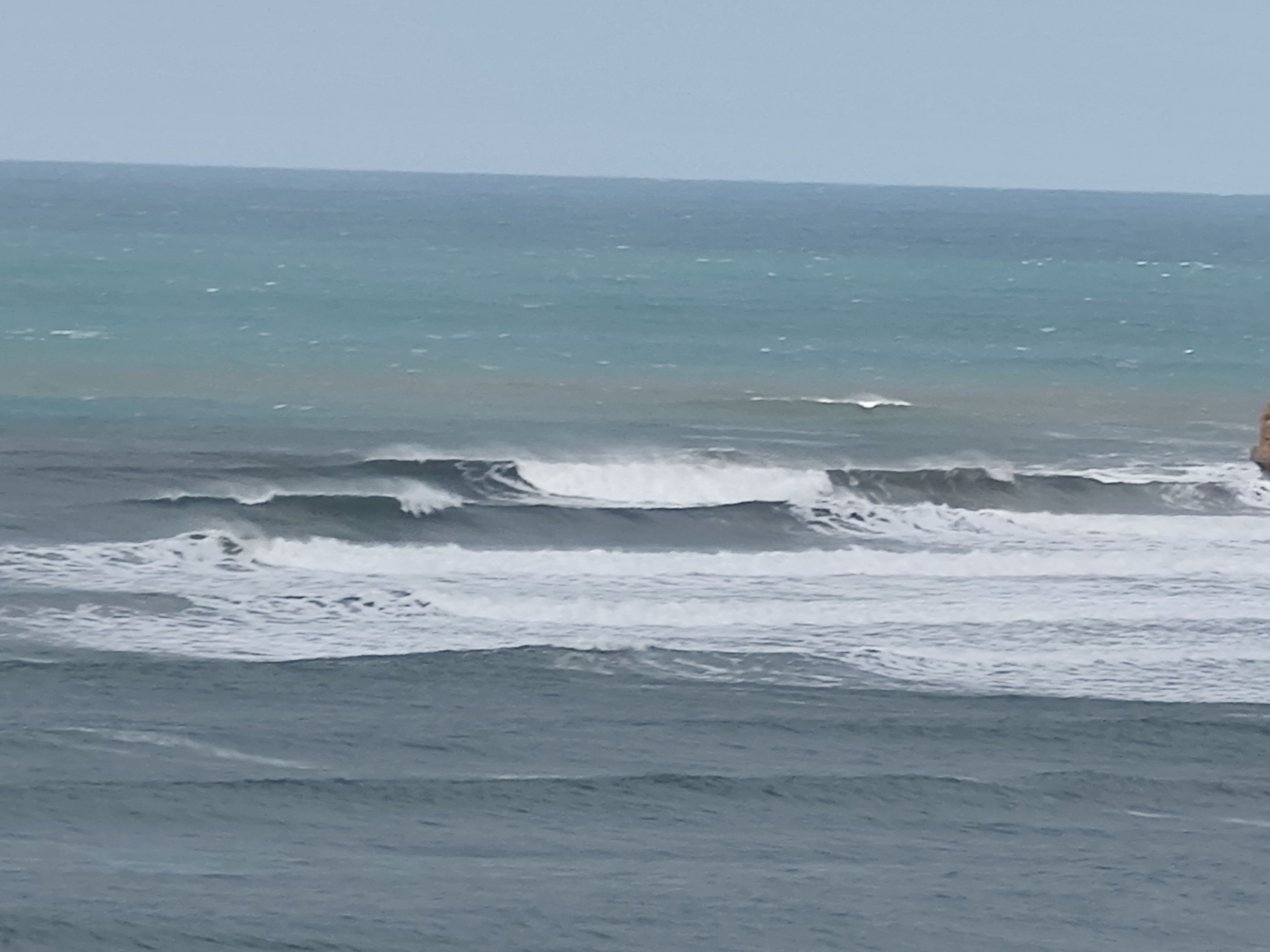 IMG20220611110955.jpg