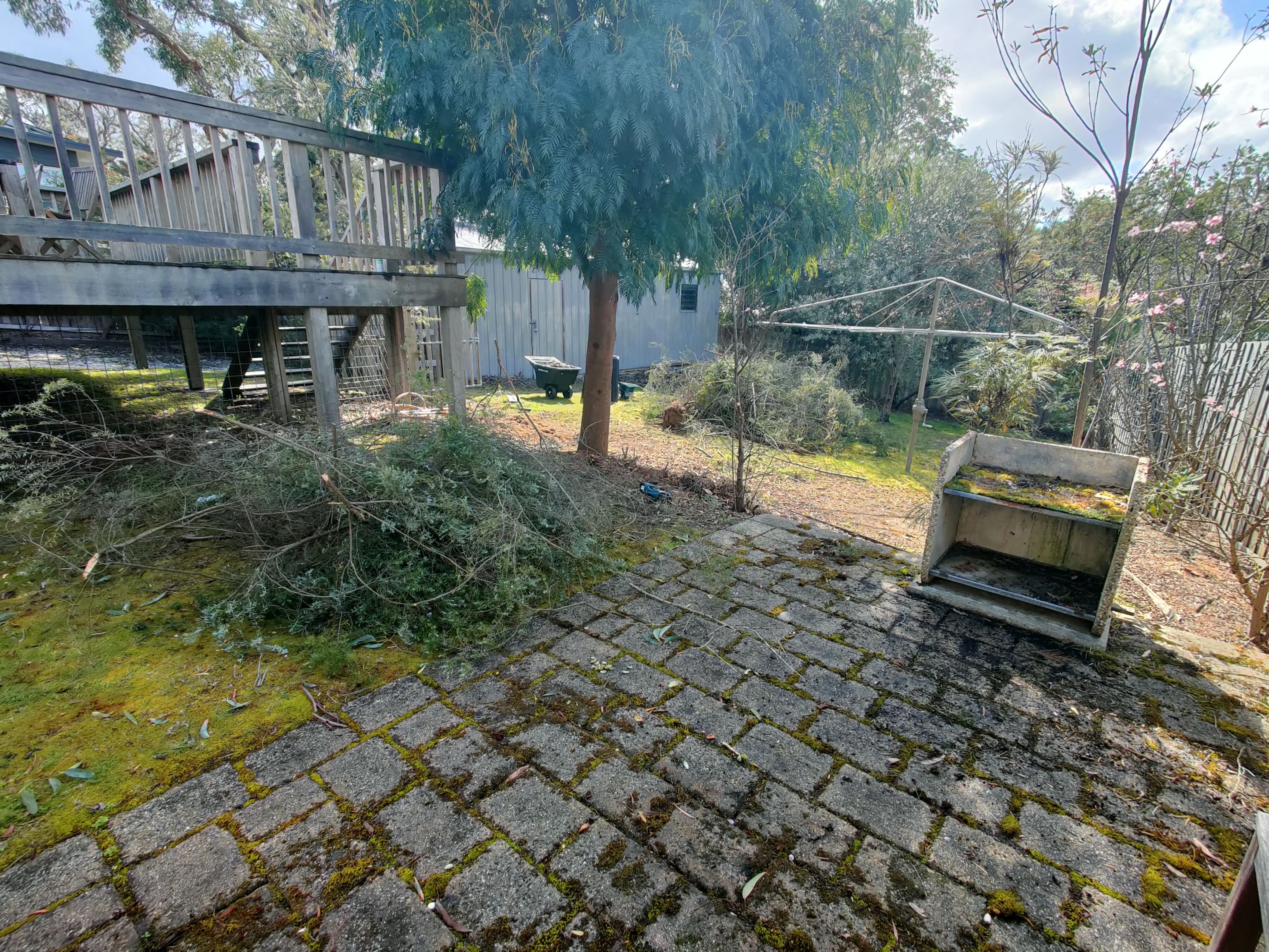 IMG20250904133802.jpg