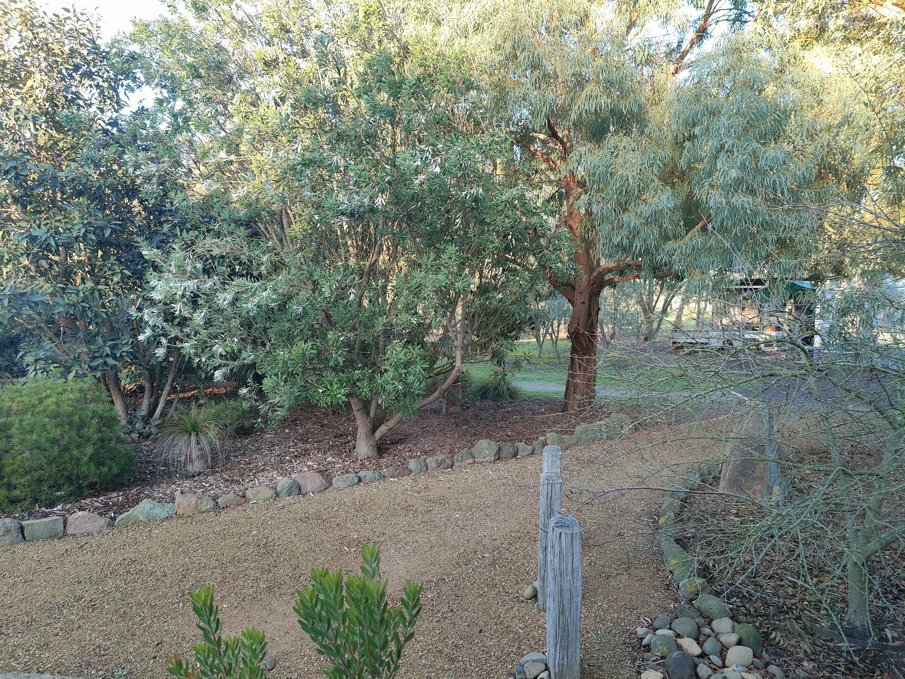 IMG20250805081535.jpg