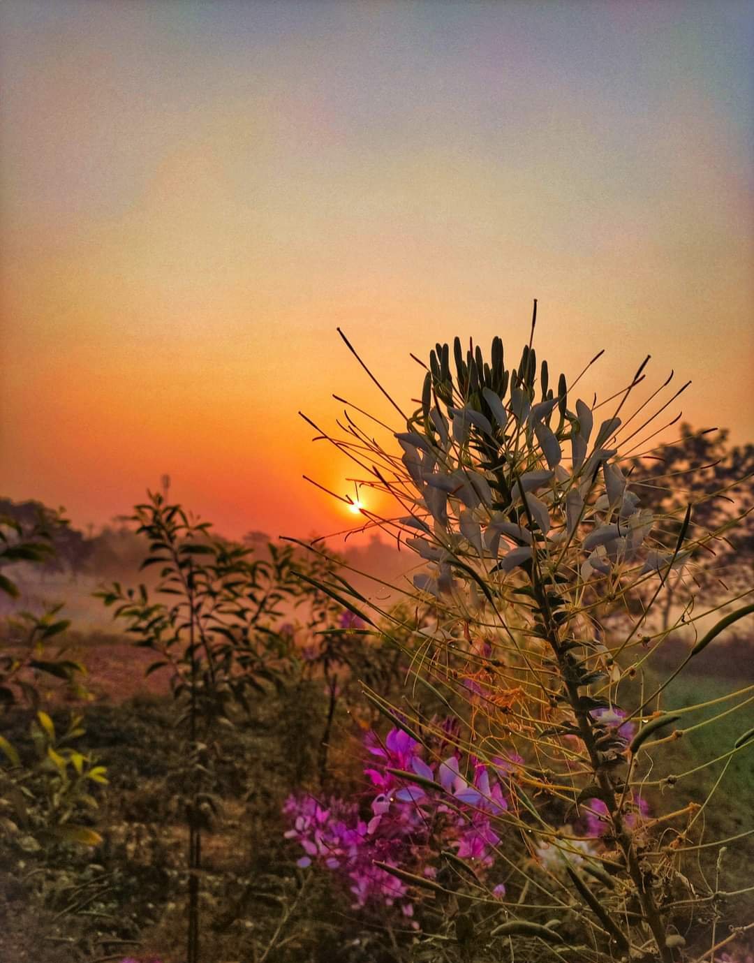 JvFFVmatwWHRfvmtd53nmEJ94xpKydwmbSC5H5svBACH7yFZ2GqwBaD4RhQrSkxyj3rZaaqk7FSoJQAsPQFDo6FRLok6TBTEVf5hfoWJu3nzCRqRMdVDx7MC4UTxCYXeQLfbskT5dp.jpeg