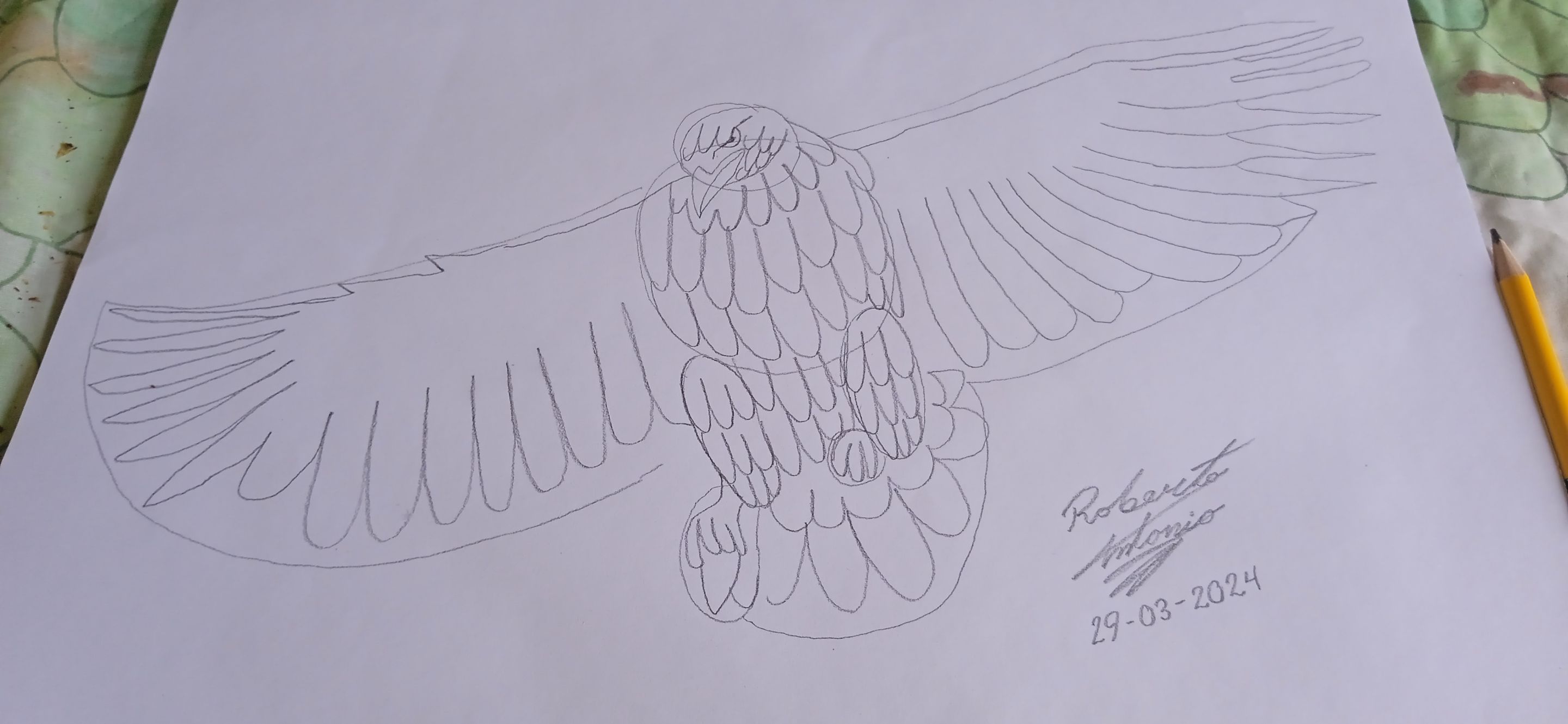 Cómo Dibujar Un Águila