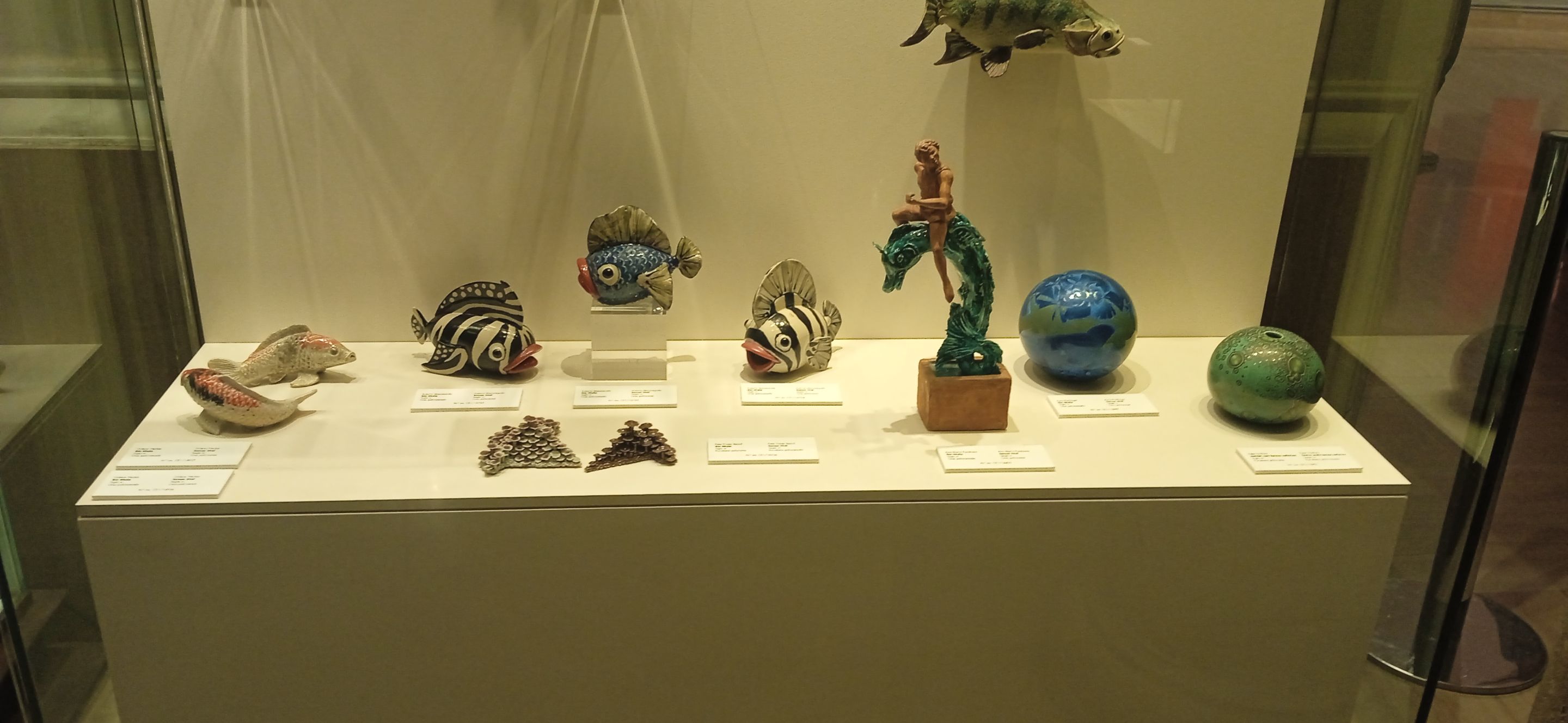 IMG_20250523_102103_1[1].jpg